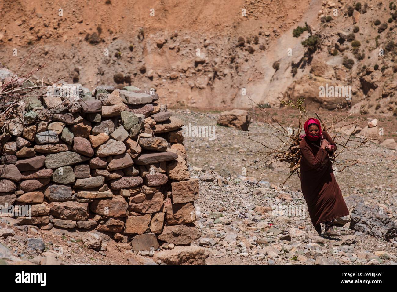 Woman carrying firewood Stock Photo