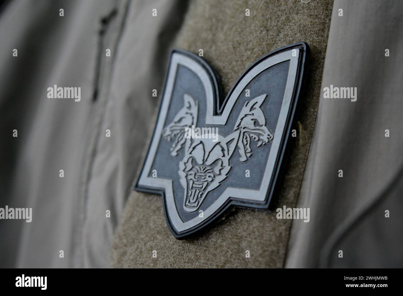 Kyiv, Ukraine. 10th Feb, 2024. View of a symbol of the Chevron of the 'Da Vinci Wolves' battalion during the opening of recruiting volunteers. Fighters of the 'Da Vinci Wolves' battalion announced the opening of a recruiting center for the recruitment of fighters to resist Russia's military aggression in Kyiv. (Photo by Aleksandr Gusev/SOPA Images/Sipa USA) Credit: Sipa USA/Alamy Live News Stock Photo