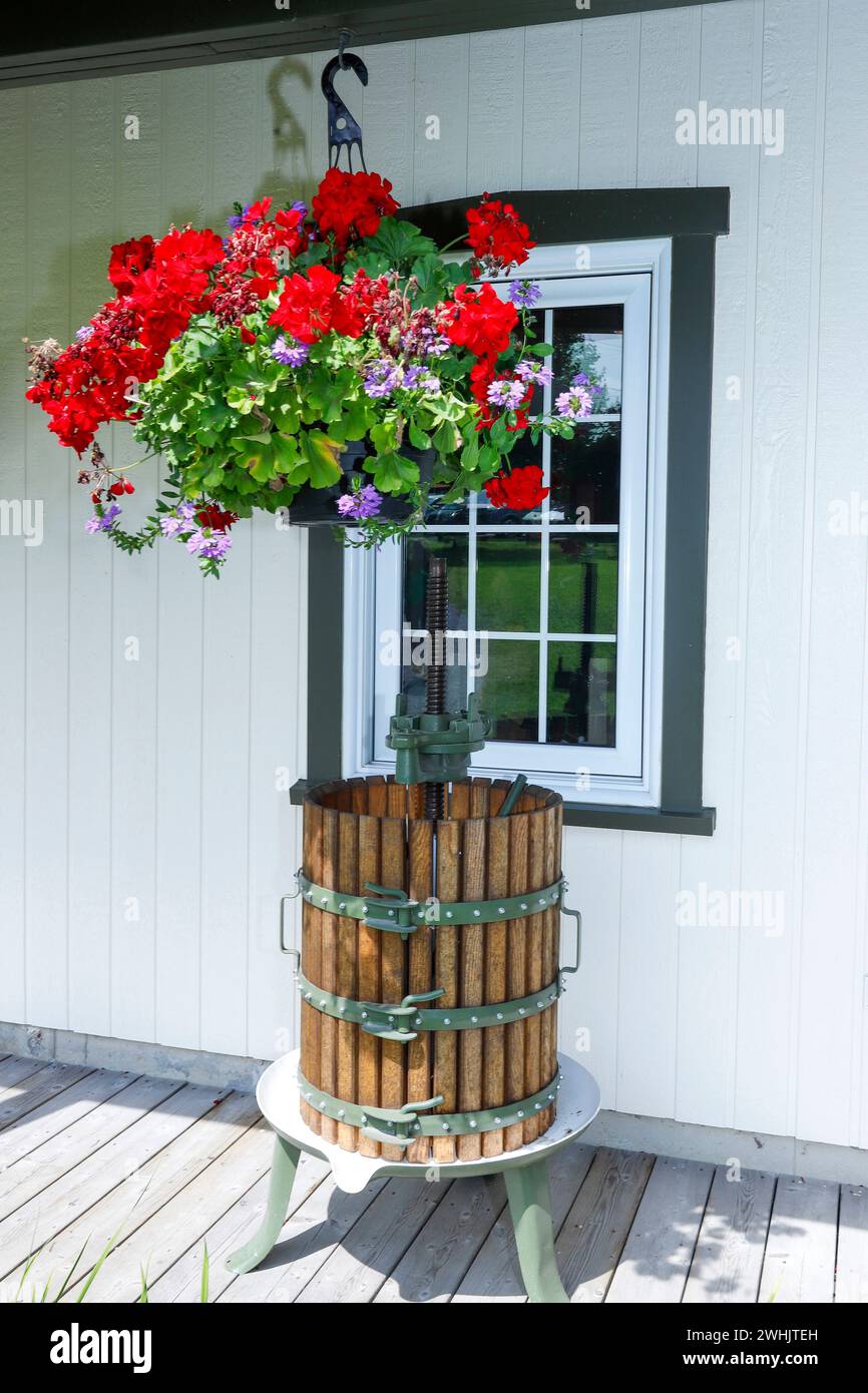 Vintage facade with window, decorated by an old fruit and grape crusher in cast iron and wood and a vase of hanging flowers. Canada Stock Photo