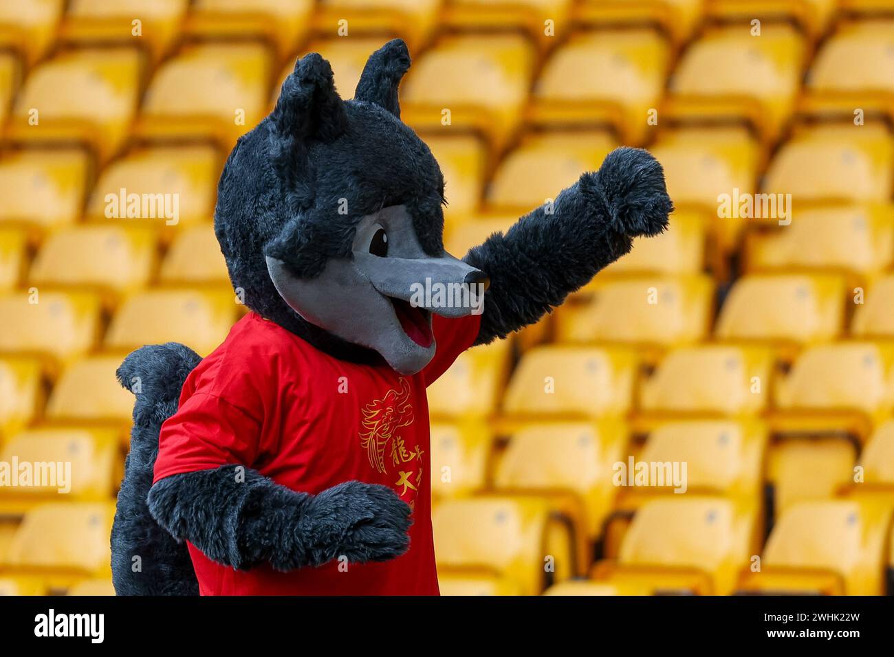 Wolverhampton, UK. 10th Feb, 2024. A Wolves' mascot waves at arriving junior spectators ahead of the Premier League match between Wolverhampton Wanderers and Brentford at Molineux, Wolverhampton, England on 10 February 2024. Photo by Stuart Leggett. Editorial use only, license required for commercial use. No use in betting, games or a single club/league/player publications. Credit: UK Sports Pics Ltd/Alamy Live News Stock Photo