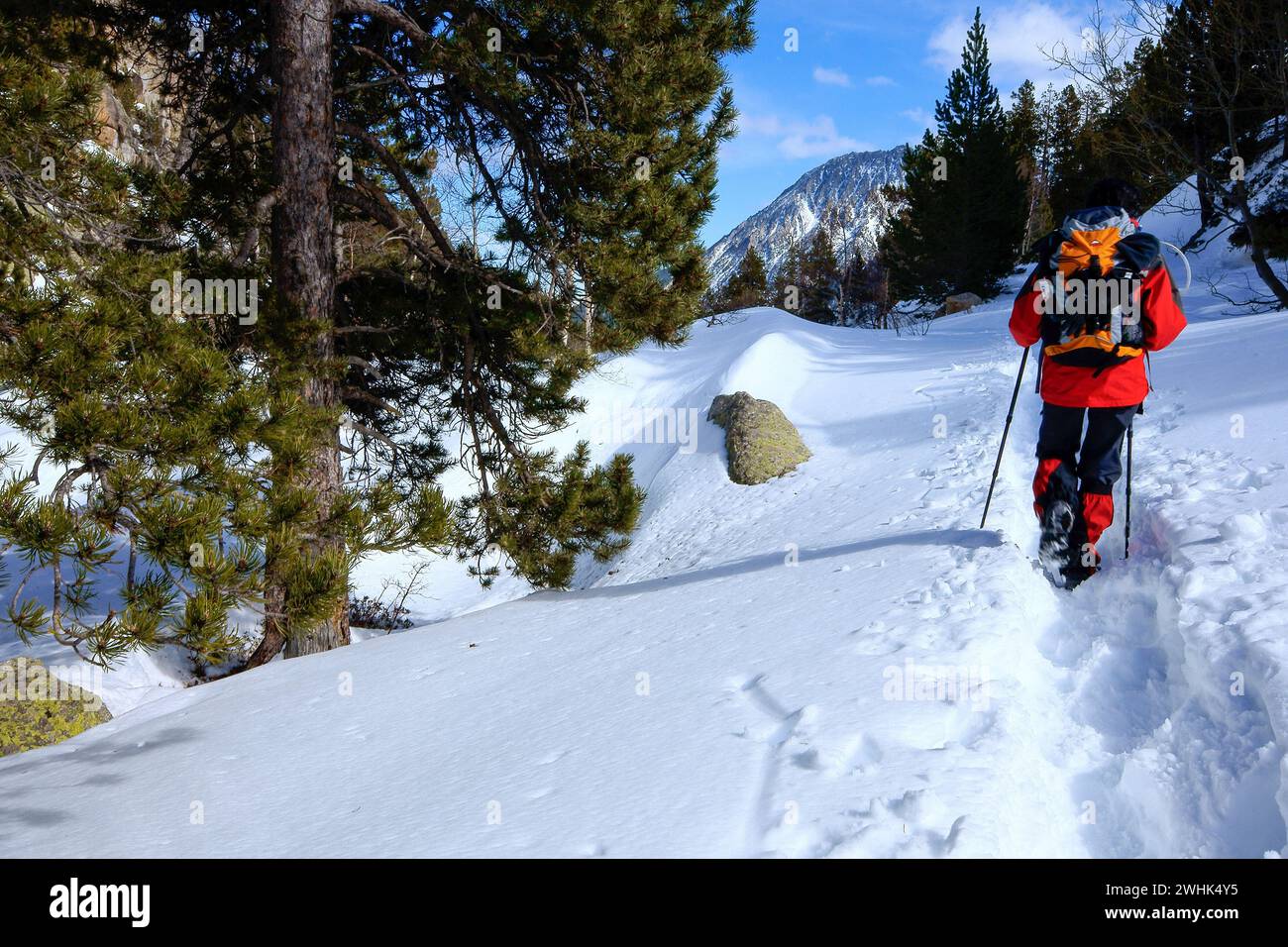 Gran parque nacional hi-res stock photography and images - Alamy