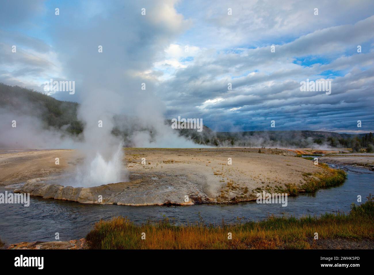 Geyser, Black Sand Basin, Yellowstone NP Stock Photo - Alamy