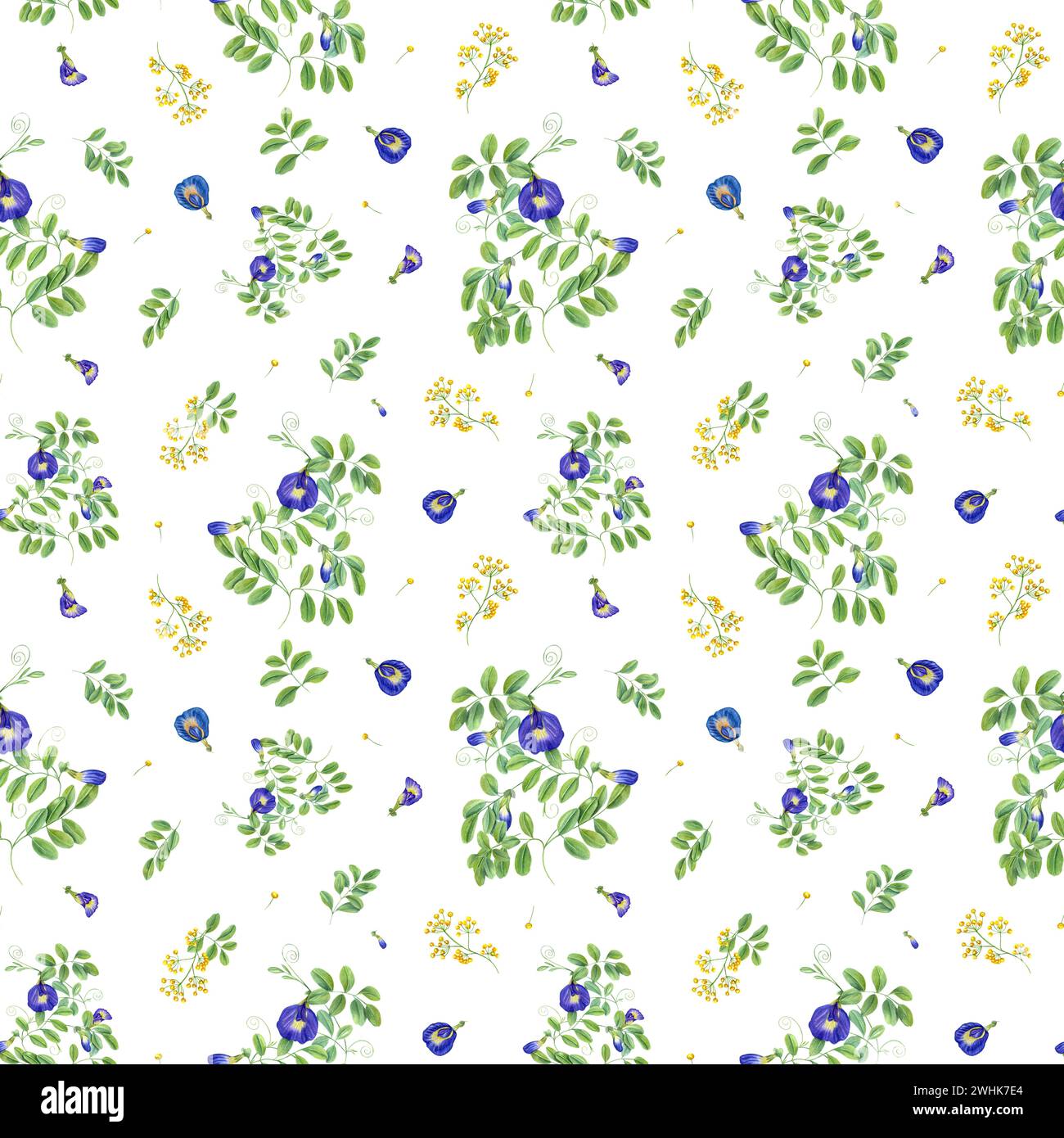 Blue and yellow flowers with green leaves. Seamless pattern of Thai flowers. Butterfly pea flowers. Tropical plant, Ipomoea, clitoria ternatea Stock Photo