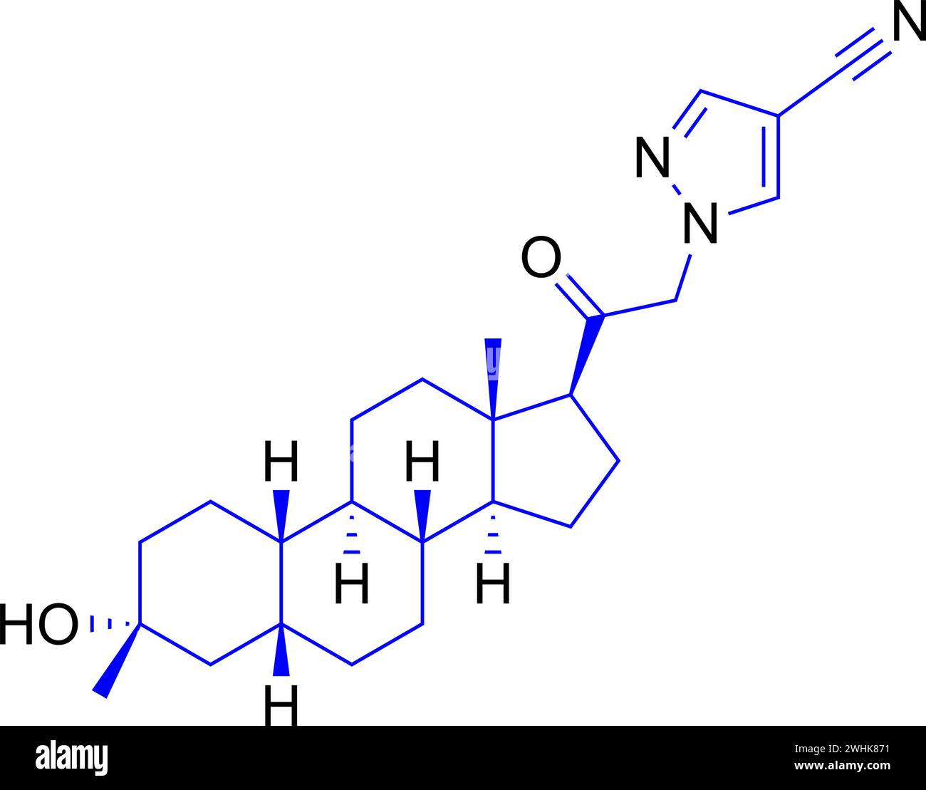 Structure of Adenosine monophosphate .Vector illustration. Stock Vector