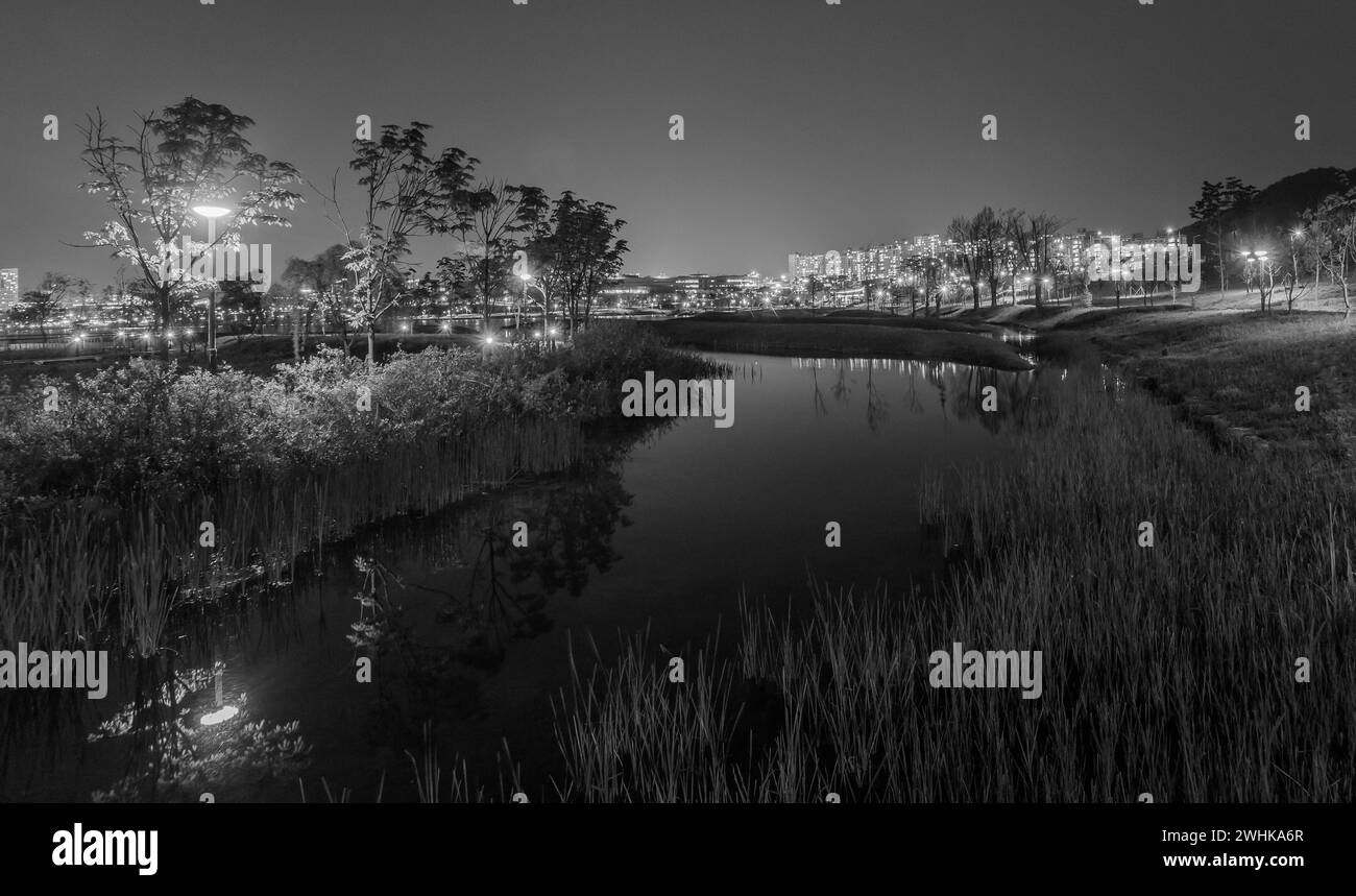 Black And White Photo Of City Lake Park In South Korea With Skyline In 