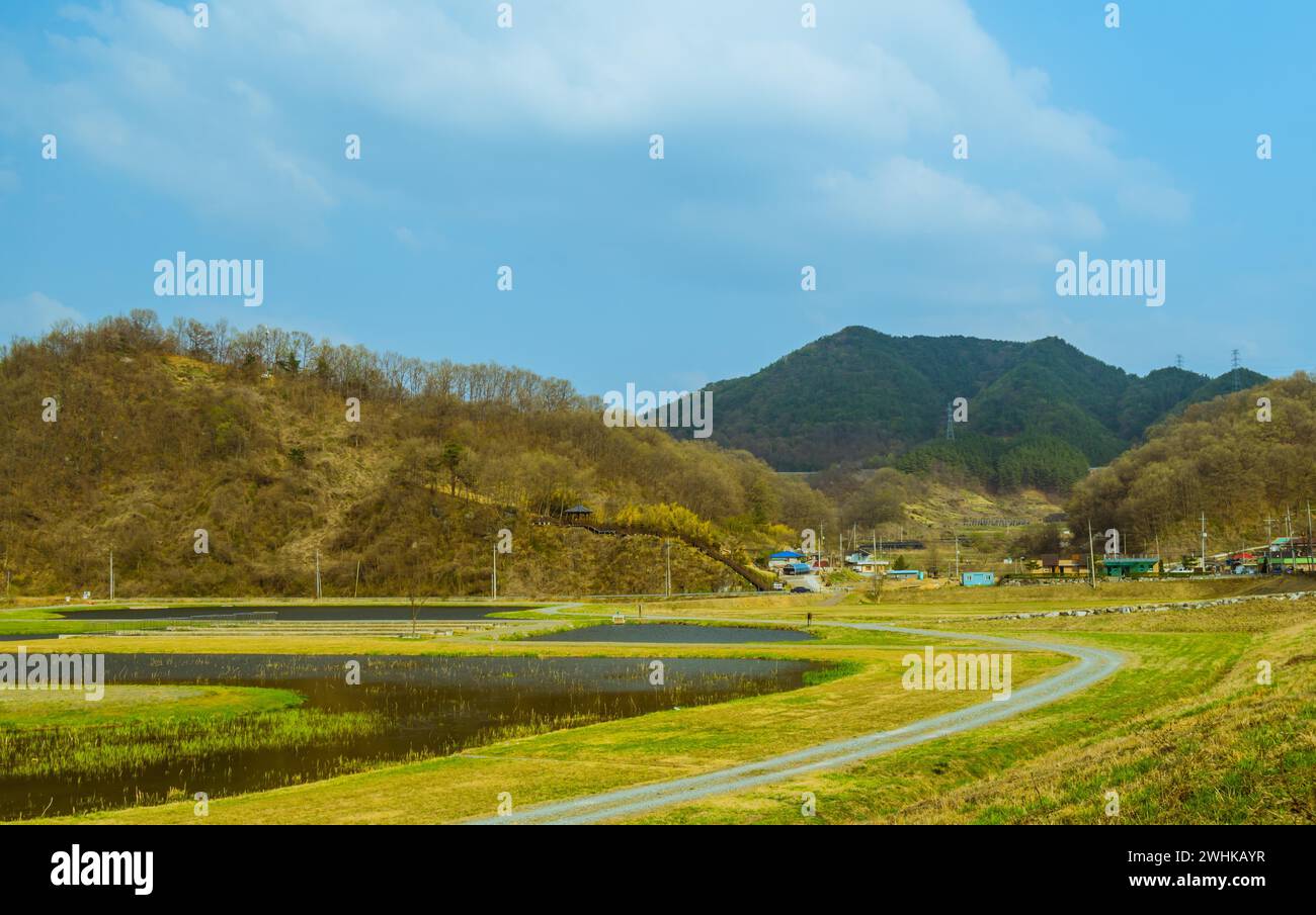 Rural pond lake hi-res stock photography and images - Alamy