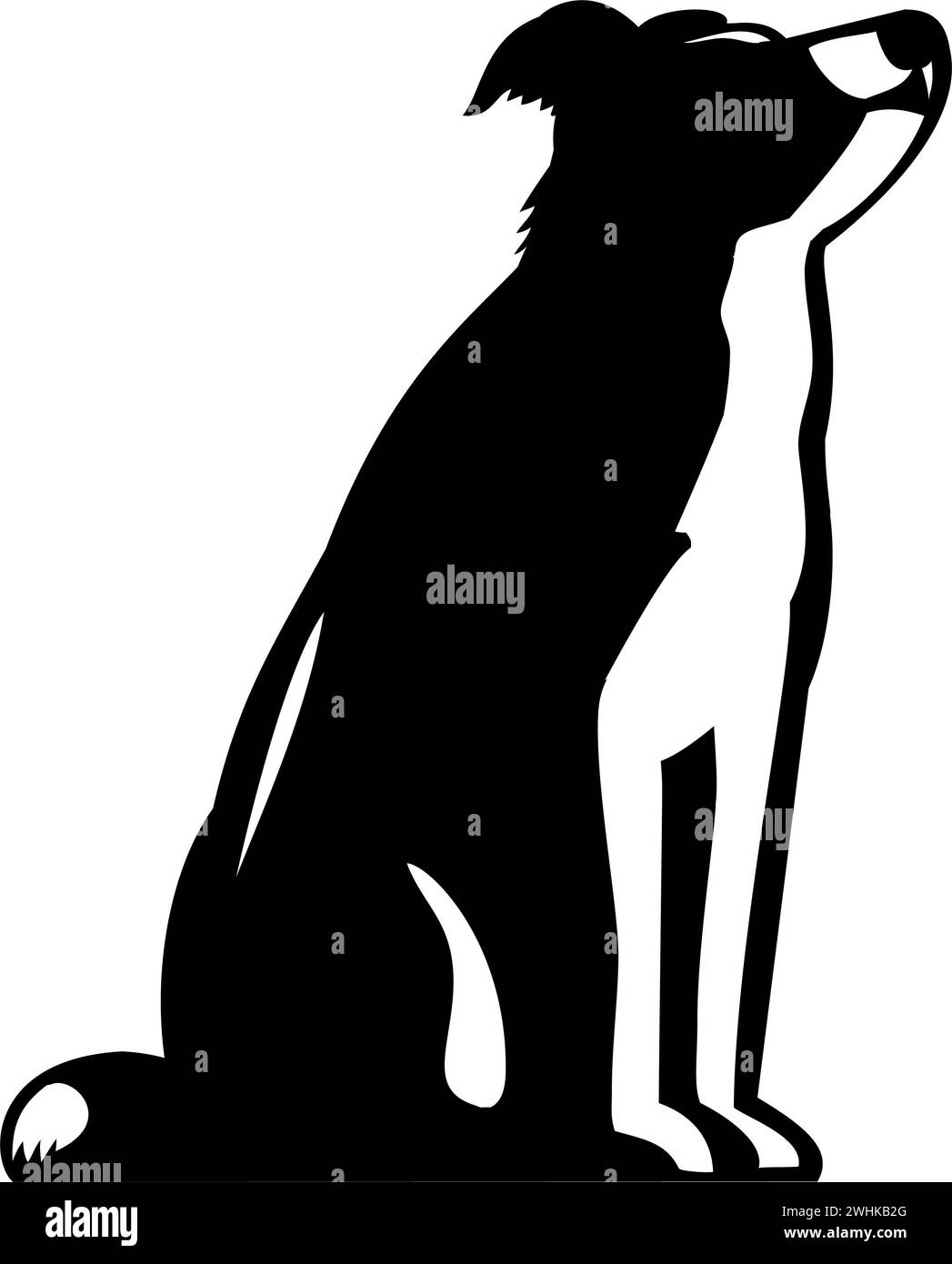 Border Collie Dog Sitting Looking Up Side Retro Woodcut Style Stock