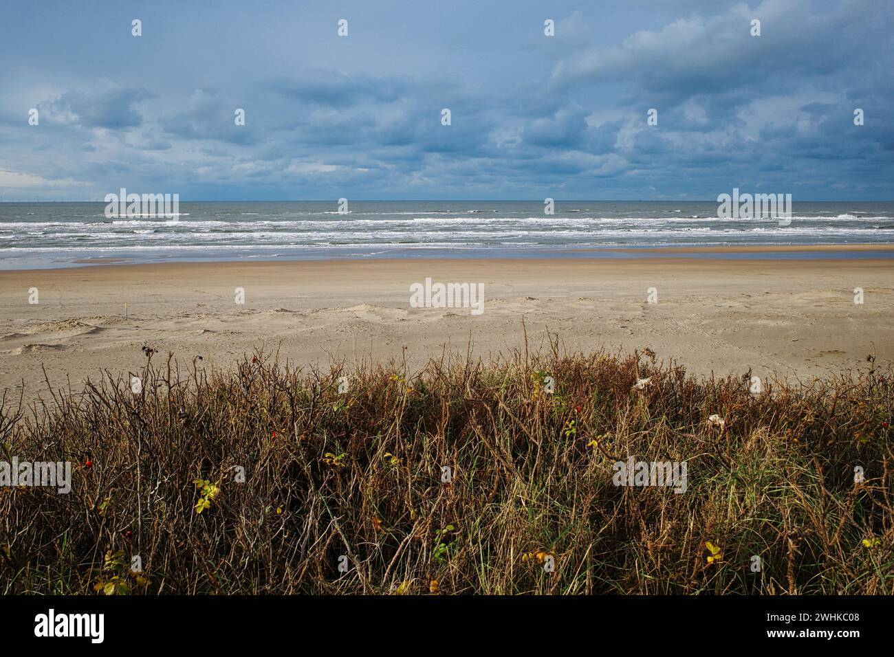 View over the North Sea, sandy beach, Zandvoort, Netherlands Stock Photo