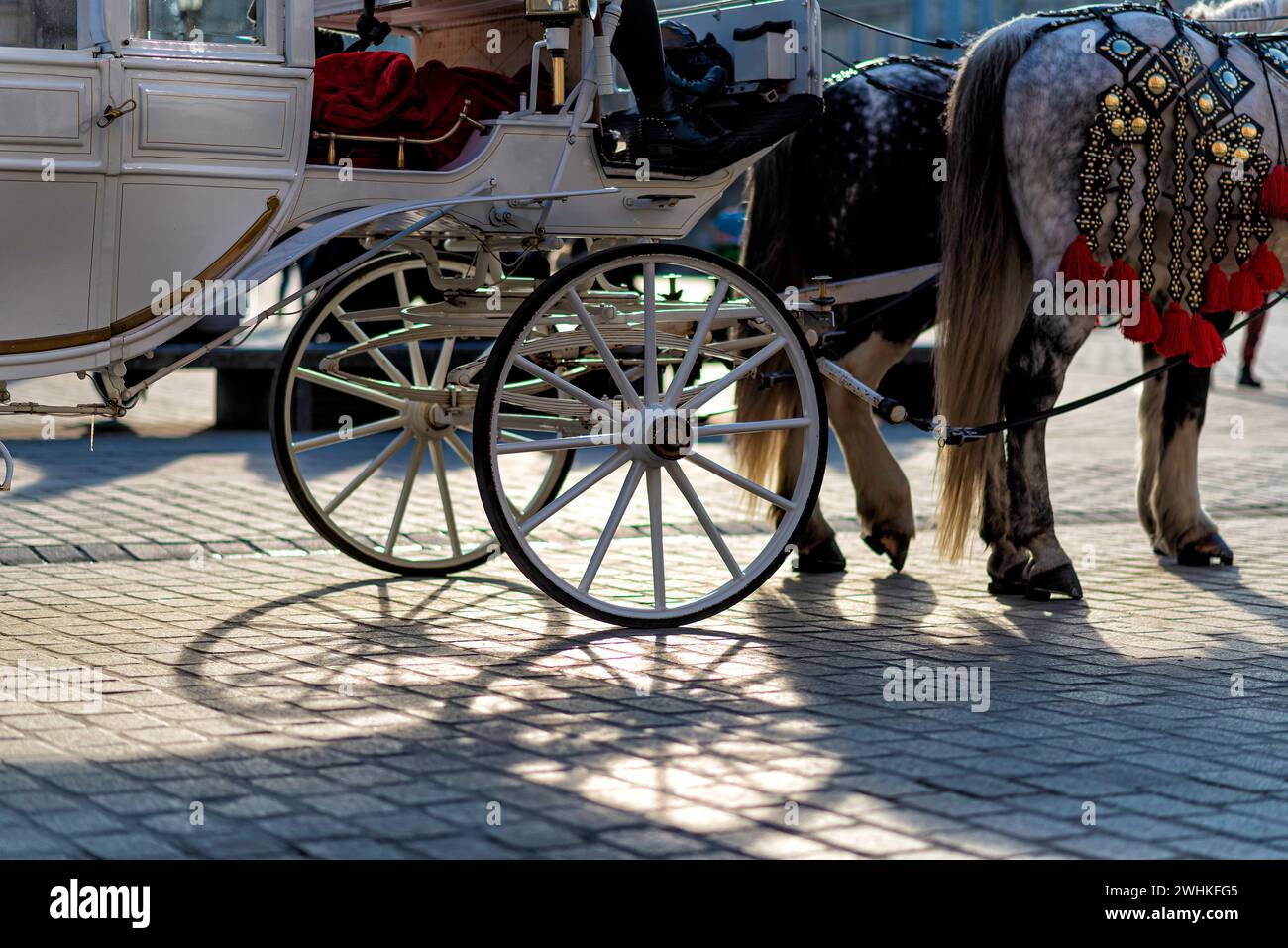 Age horse drawn carriage hi-res stock photography and images - Alamy