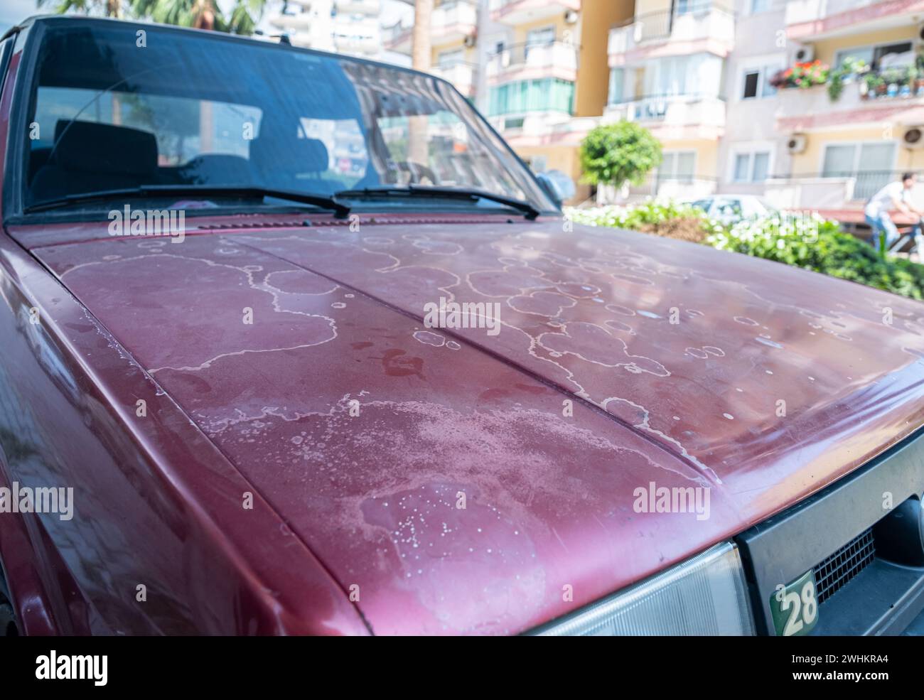Old car paint affected by the soap , sun and humidity Stock Photo Alamy