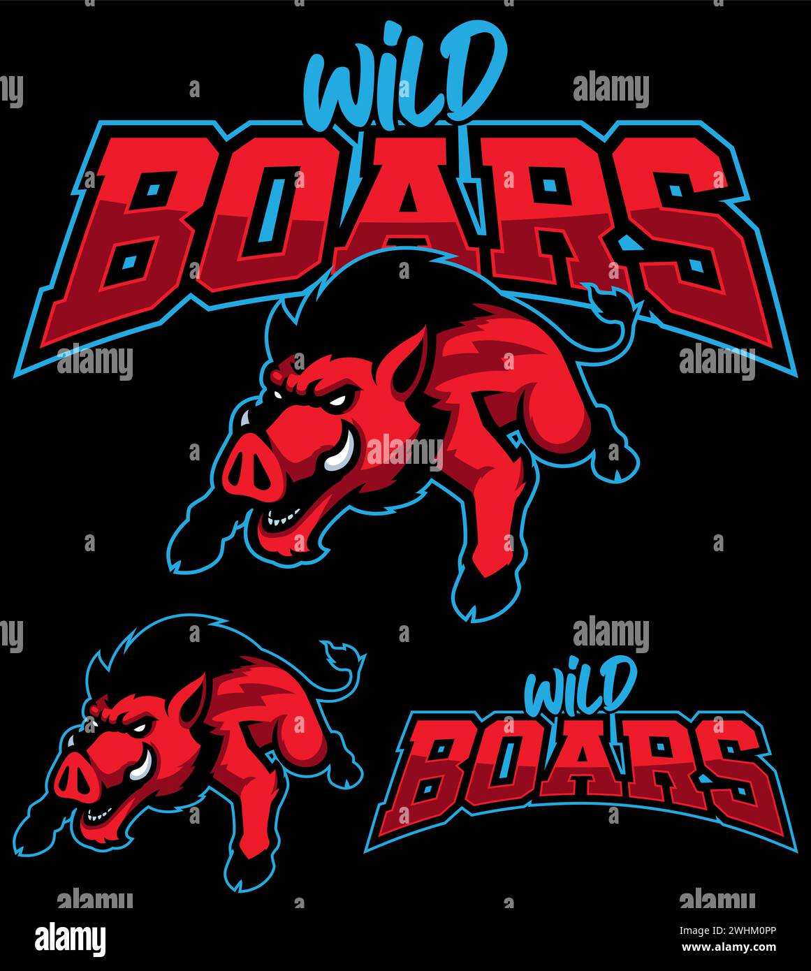 Mascot style illustration of a charging wild boar for the Wild Boars