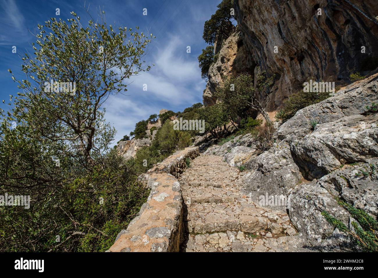 Cobbled path to the castle of Alaro Stock Photo - Alamy