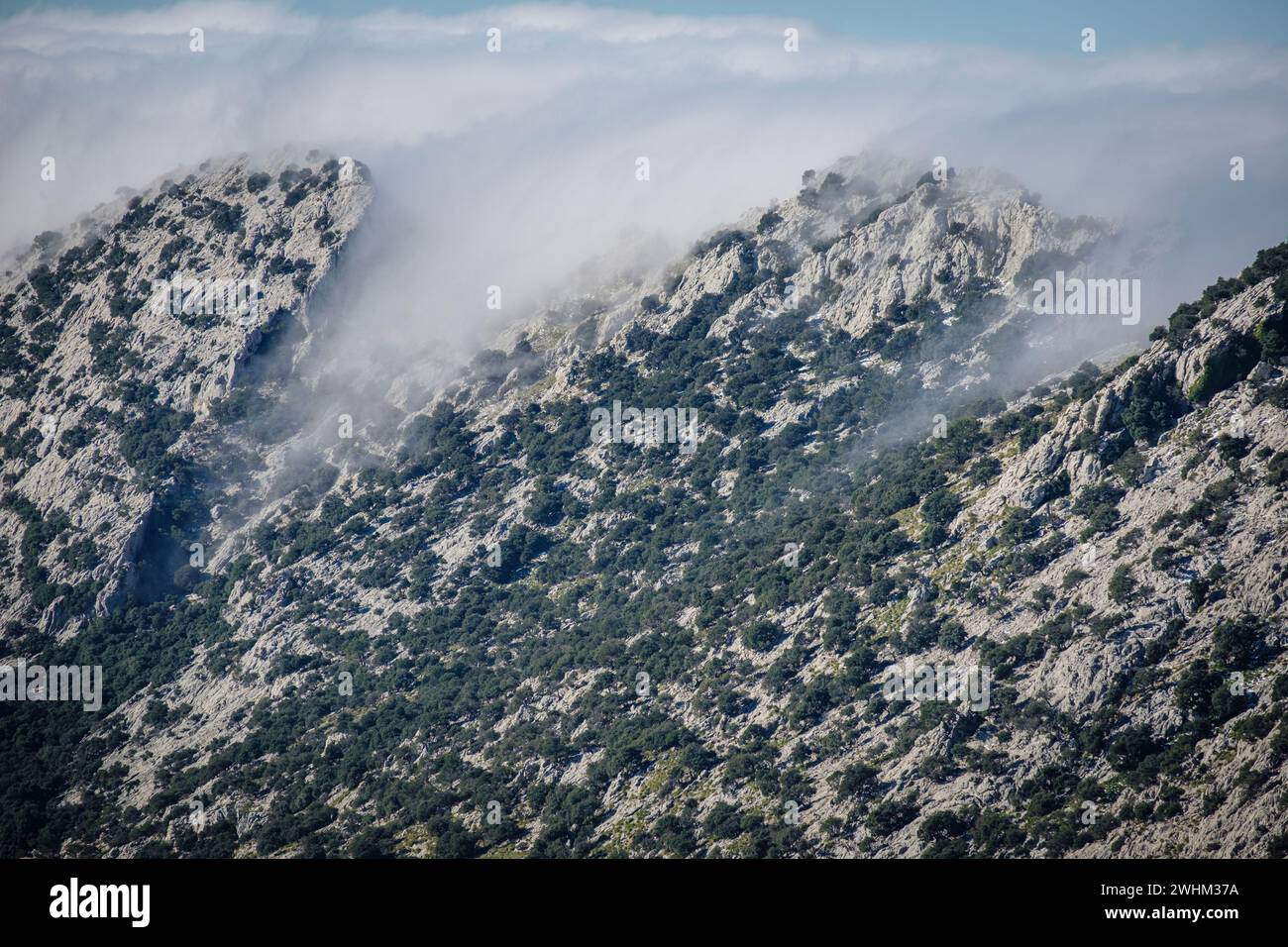 Fog over Sierra de Cuber Stock Photo