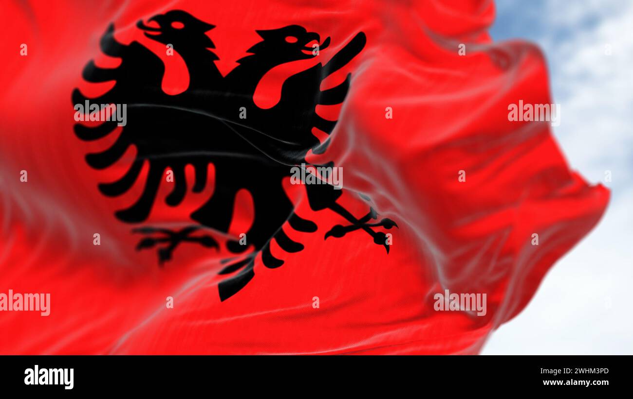 100% Shqiptar - Albanian - Shqipe - Kuq E Zi - Shqiponja - Eagle Flag Sticker Vinyl Decal Bumper Sticker 5