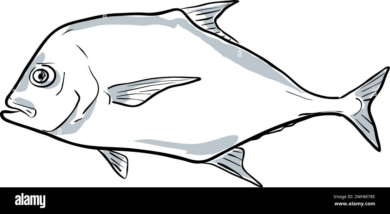 African pompano Fish of Florida Cartoon Drawing Stock Photo