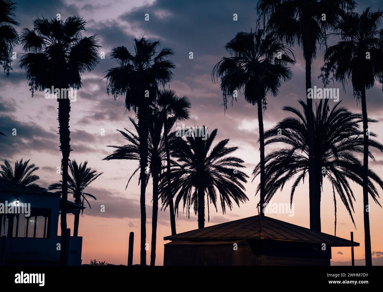 Warm tropical climate hi-res stock photography and images - Alamy