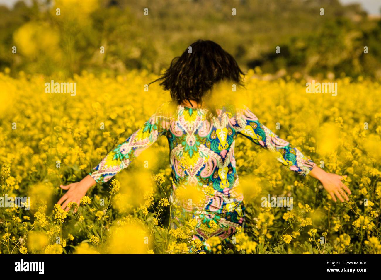 Mujer paseando entre flores amarillas Stock Photo