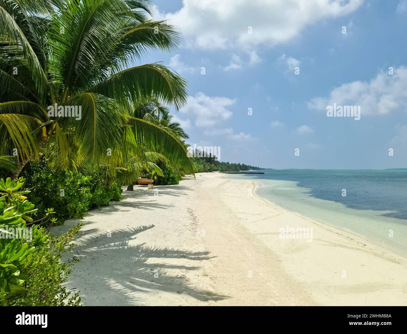 Palm trees on the beautiful beaches of the Indian Ocean in the Maldives ...
