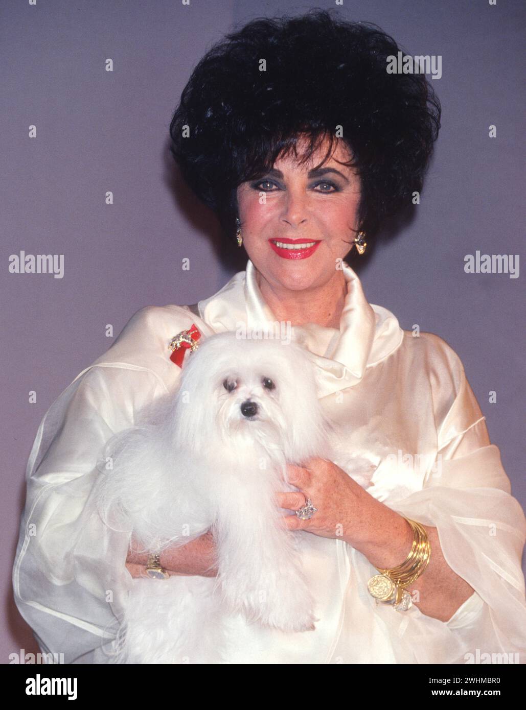 Elizabeth taylor 1993 hi-res stock photography and images - Alamy