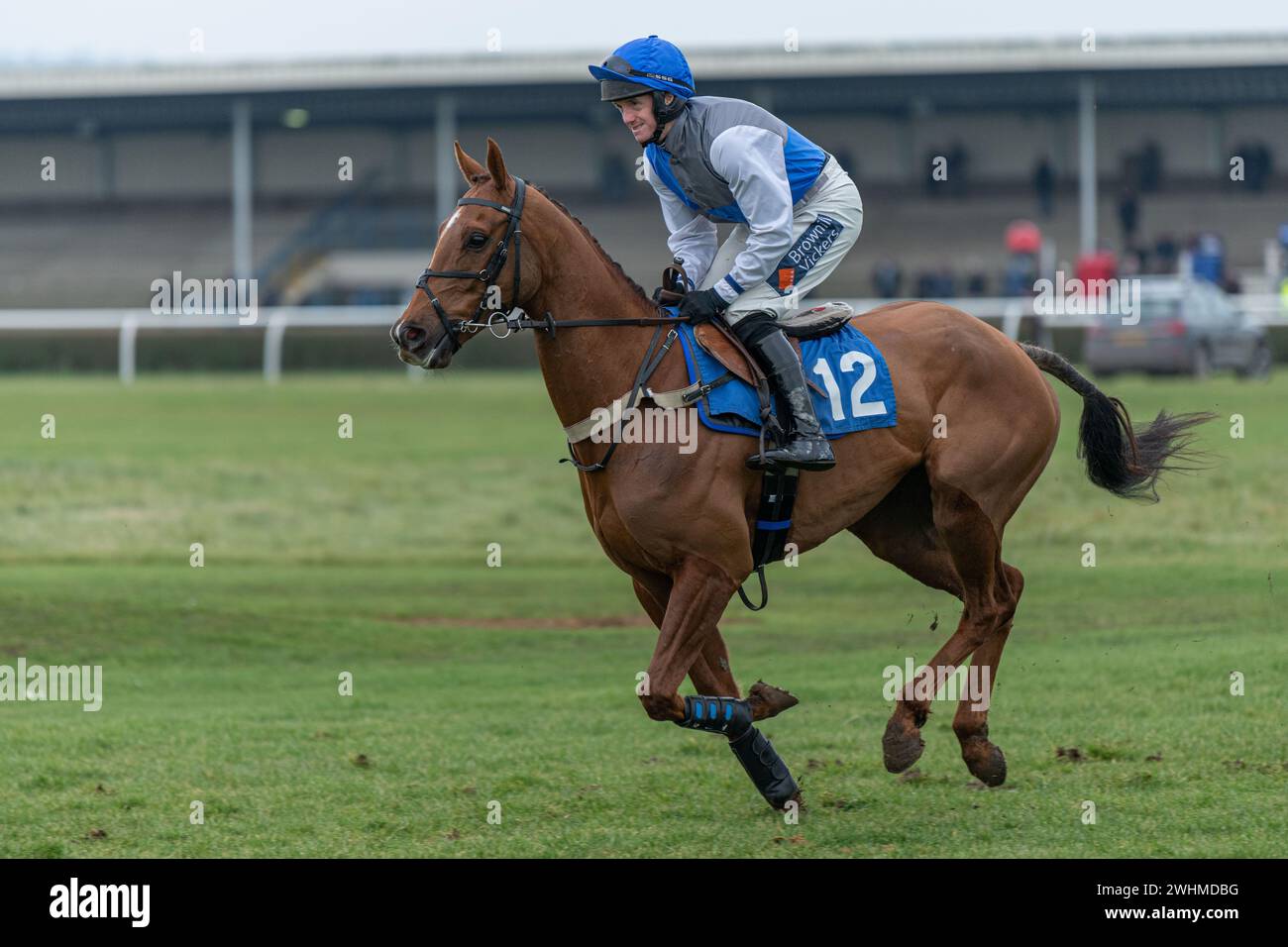 Fitz the brief cantering to the start hi-res stock photography and ...
