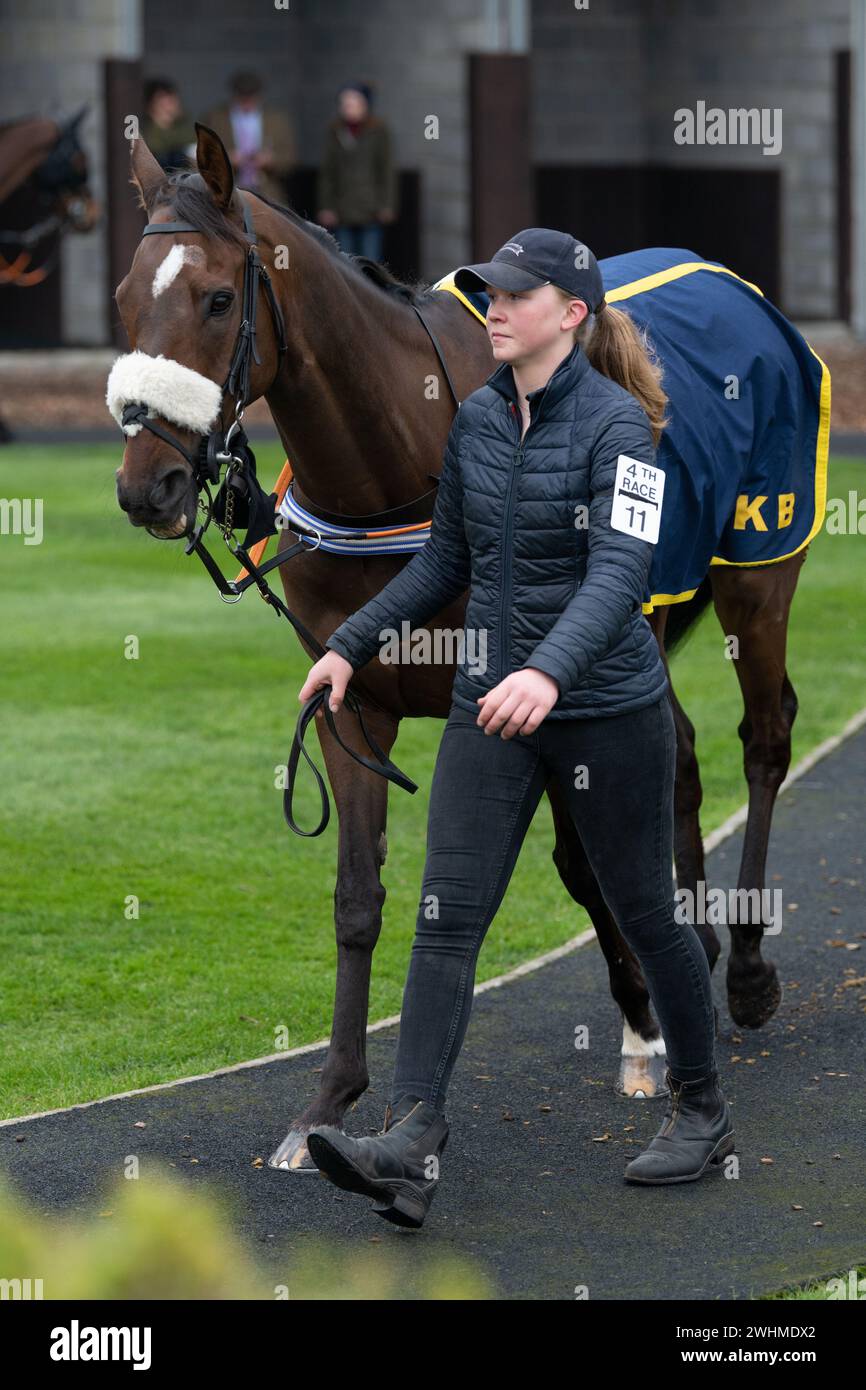 Fourth race at Wincanton, March 2nd, 2022 Stock Photo