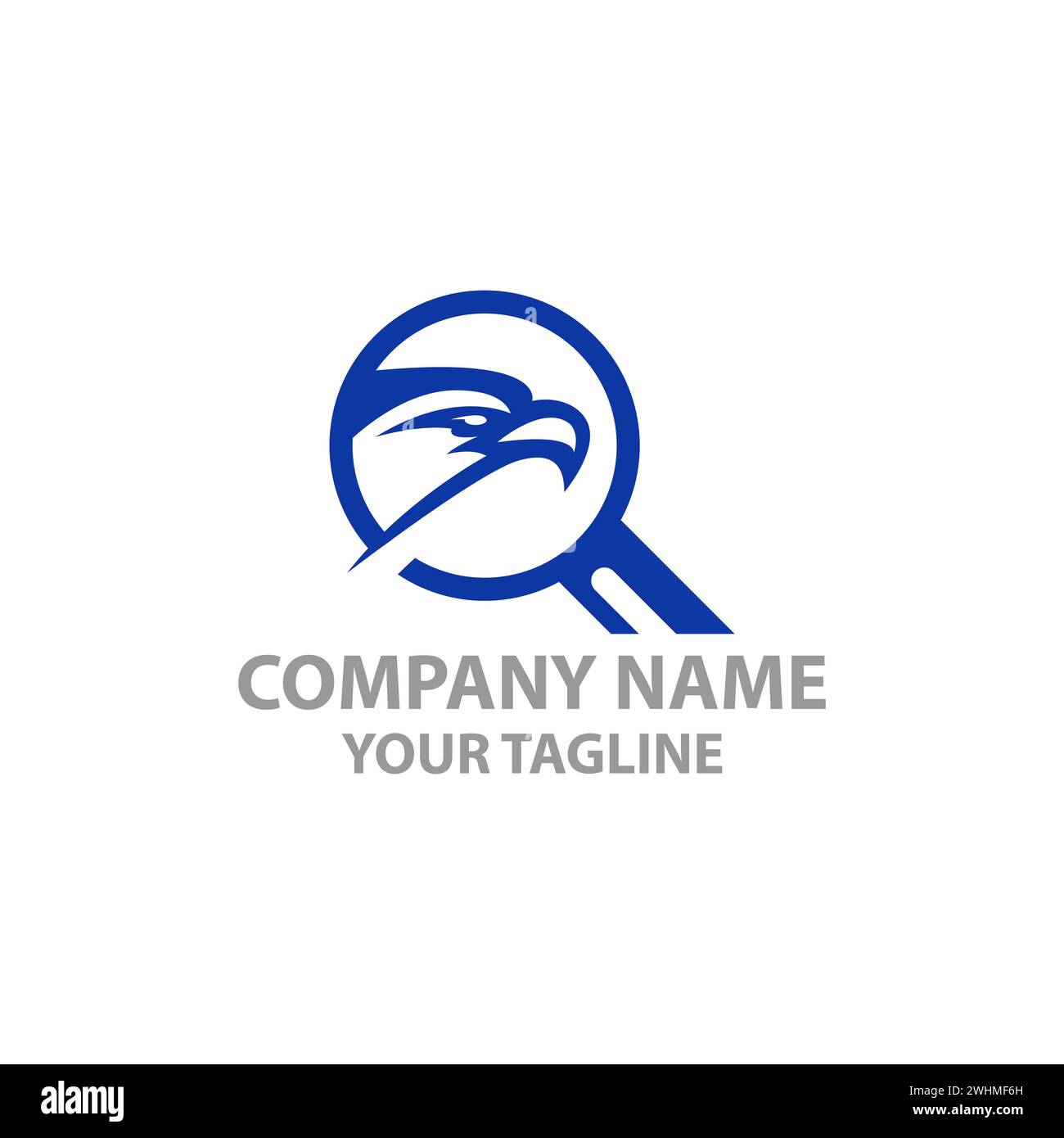 Eagle eye. Hawk Magnifying glass icon. Flying bird emblem. Vector