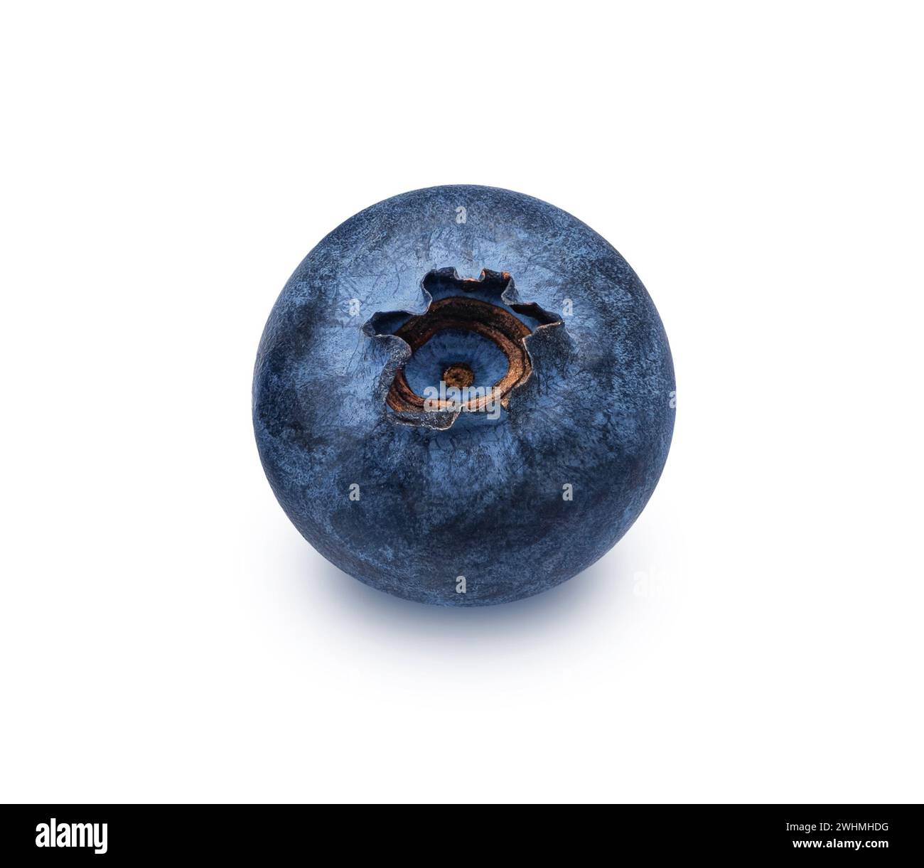 One blueberry isolated on white background, full depth of field Stock Photo