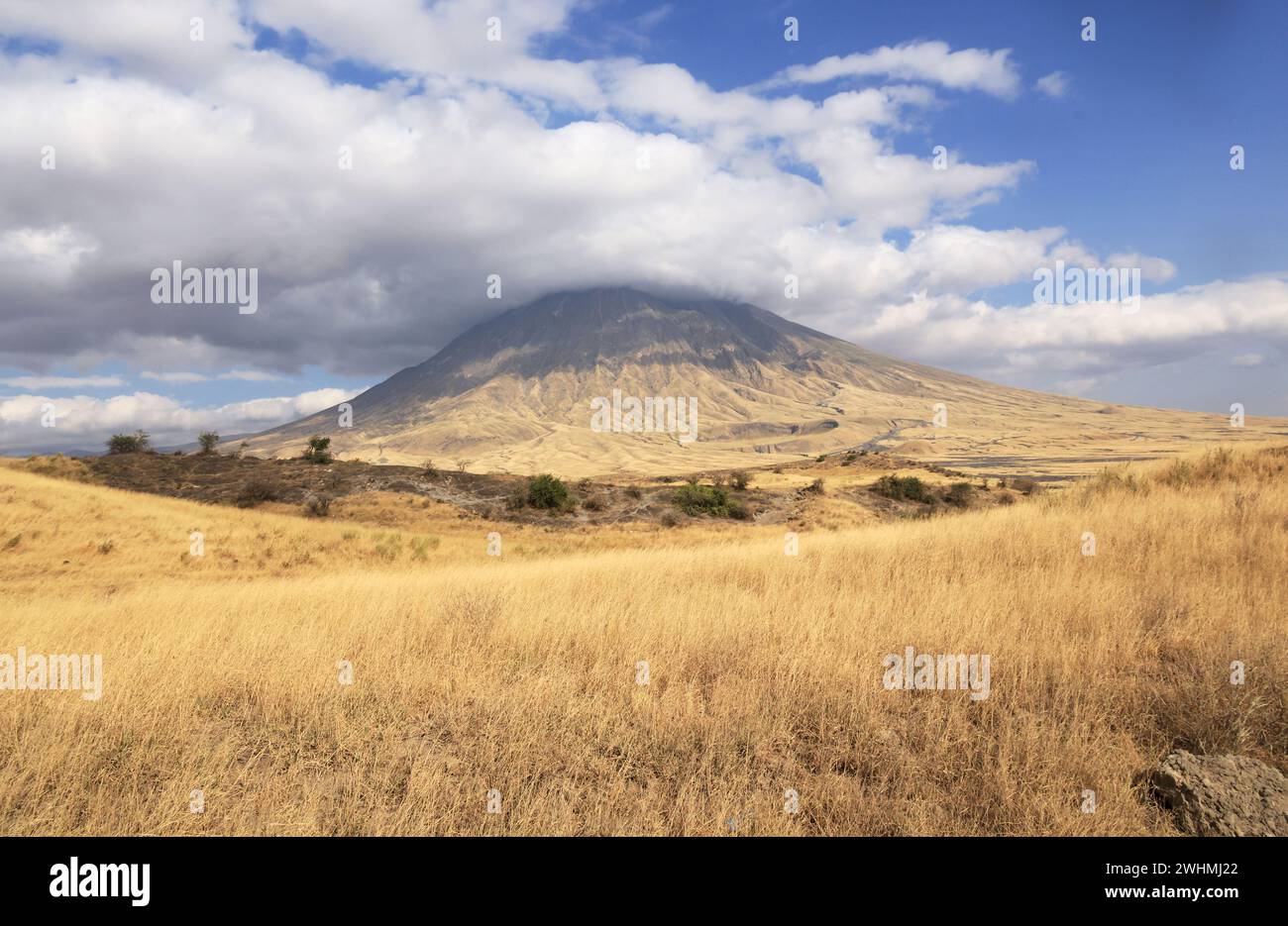 Ol Doinyo Lengai Mountain in the Savannah of Tanzania,  Africa Stock Photo
