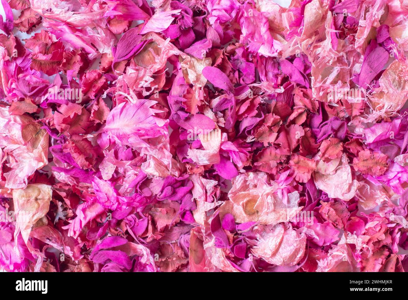 Dried flowers texture hi-res stock photography and images - Alamy
