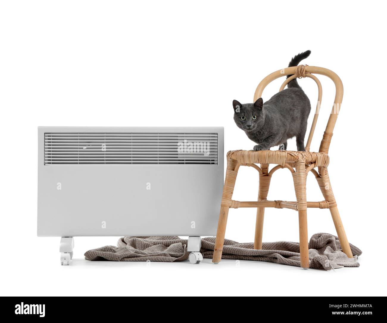 Cute cat on chair and radiator against white background Stock Photo - Alamy