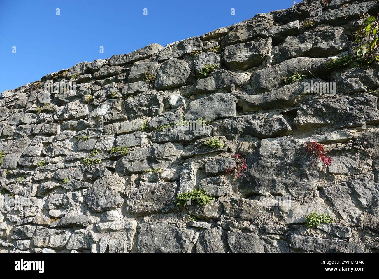 Stone wall Stock Photo