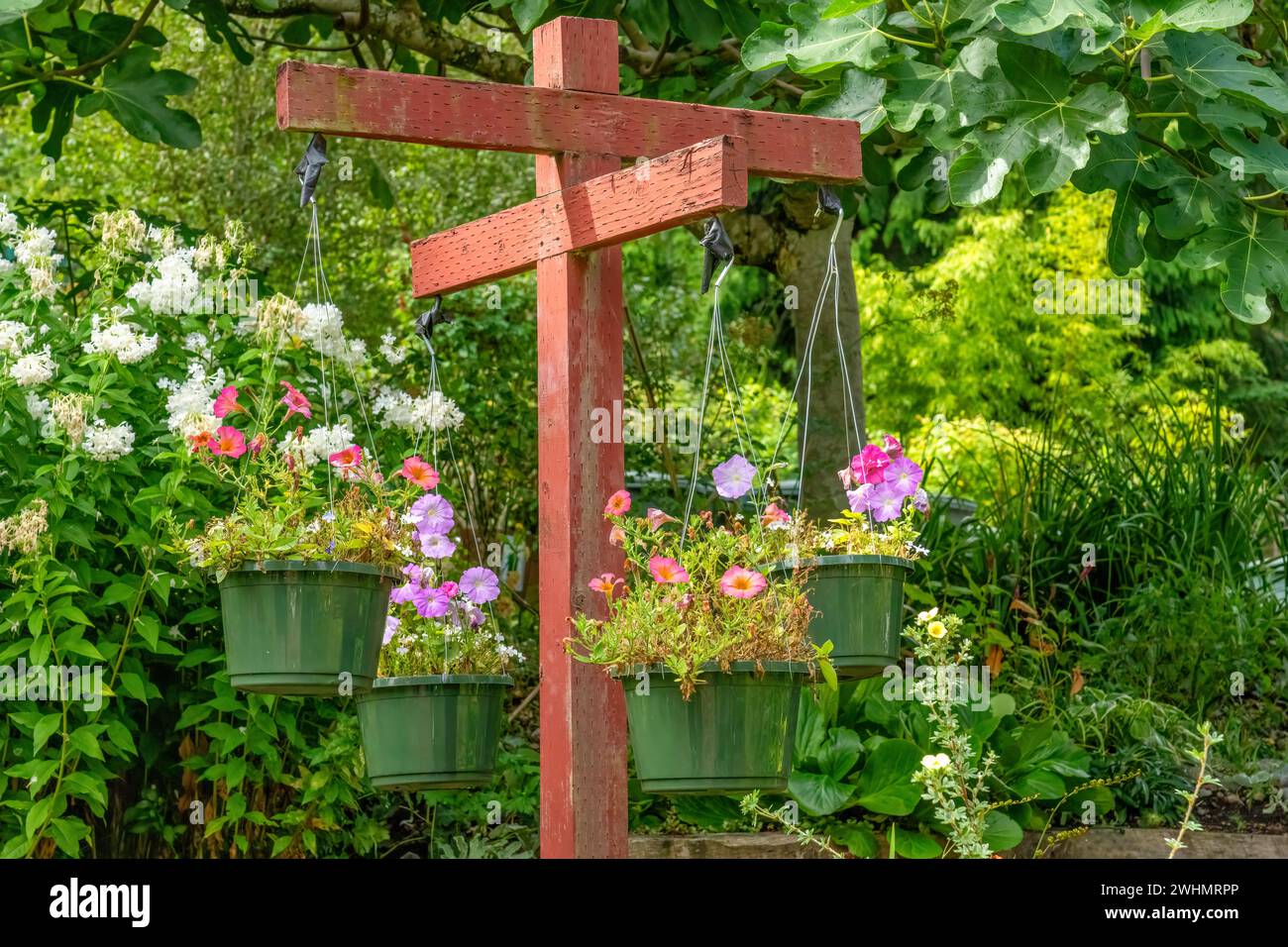 Hanging plant wood post hi-res stock photography and images - Alamy