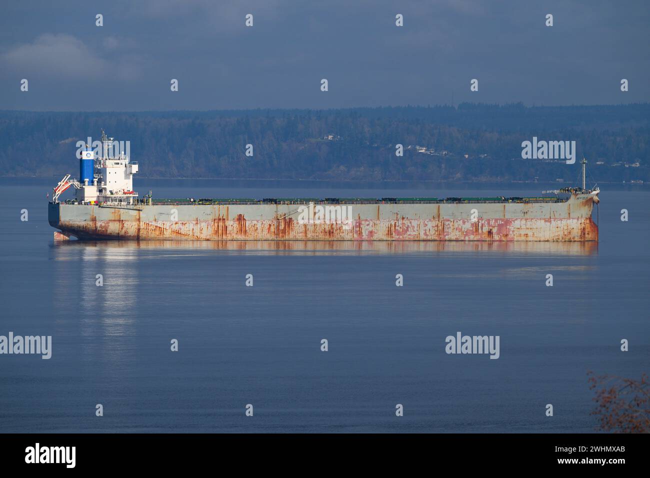 Everett, WA, USA - February 7, 2024; Bulk carrier Perseus at anchor in Possession Sound off Everett sailing under flag of Liberia Stock Photo