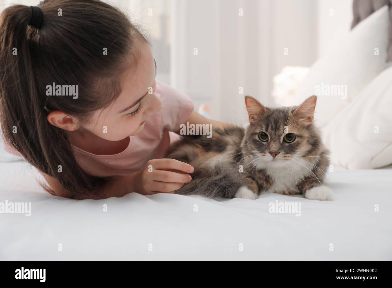 Cute little girl with cat lying on bed at home. First pet Stock Photo ...