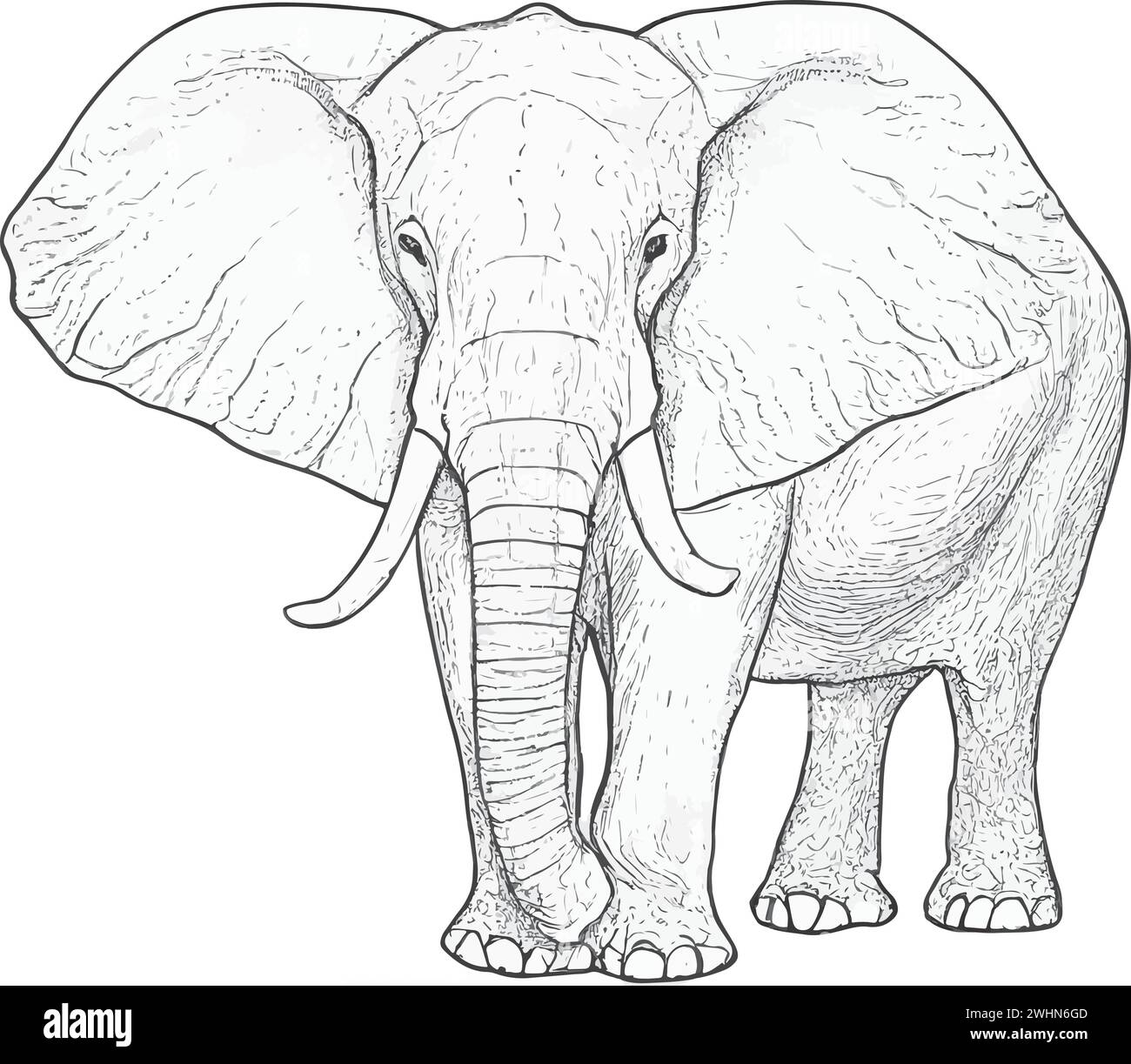 Elephant drawn Stock Vector Images - Alamy