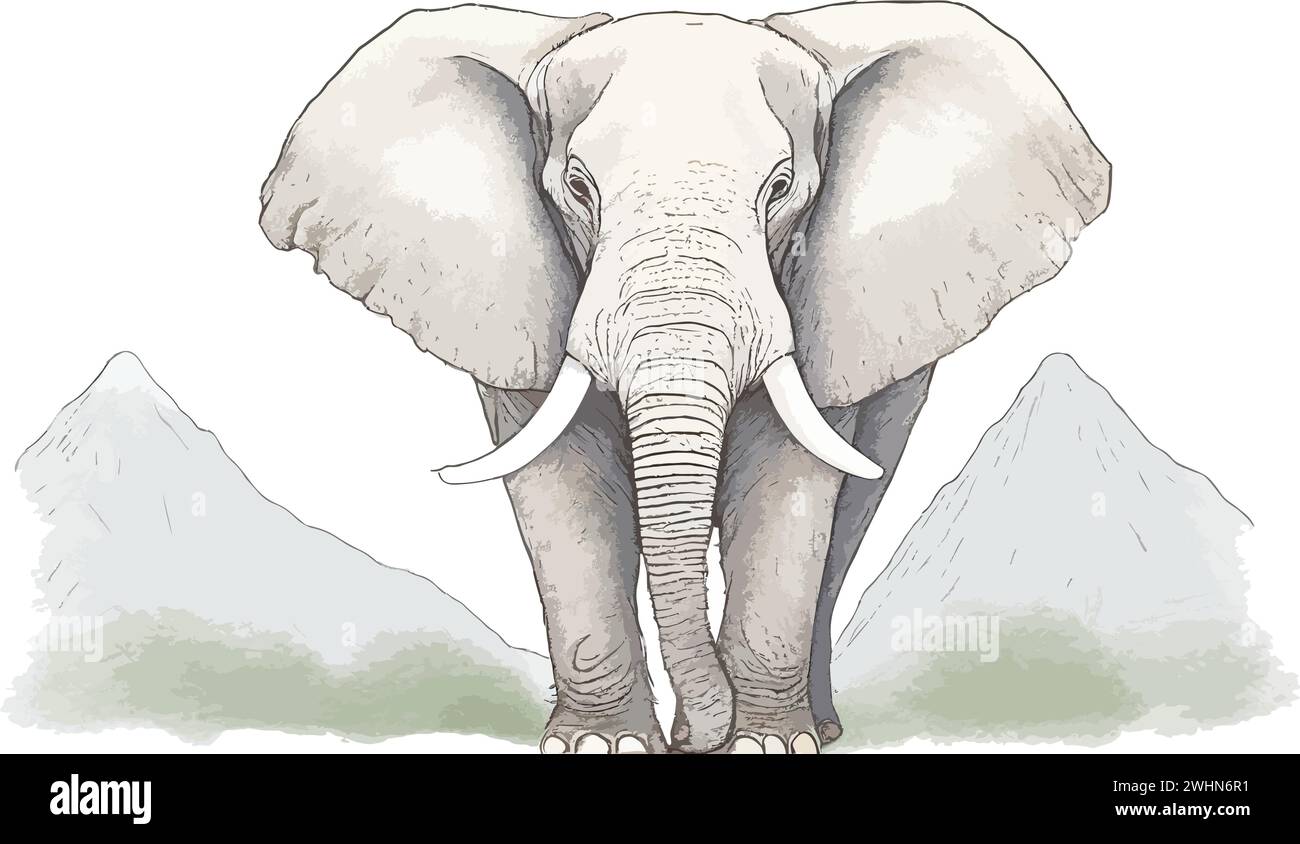 Elephant drawn Stock Vector Images - Alamy