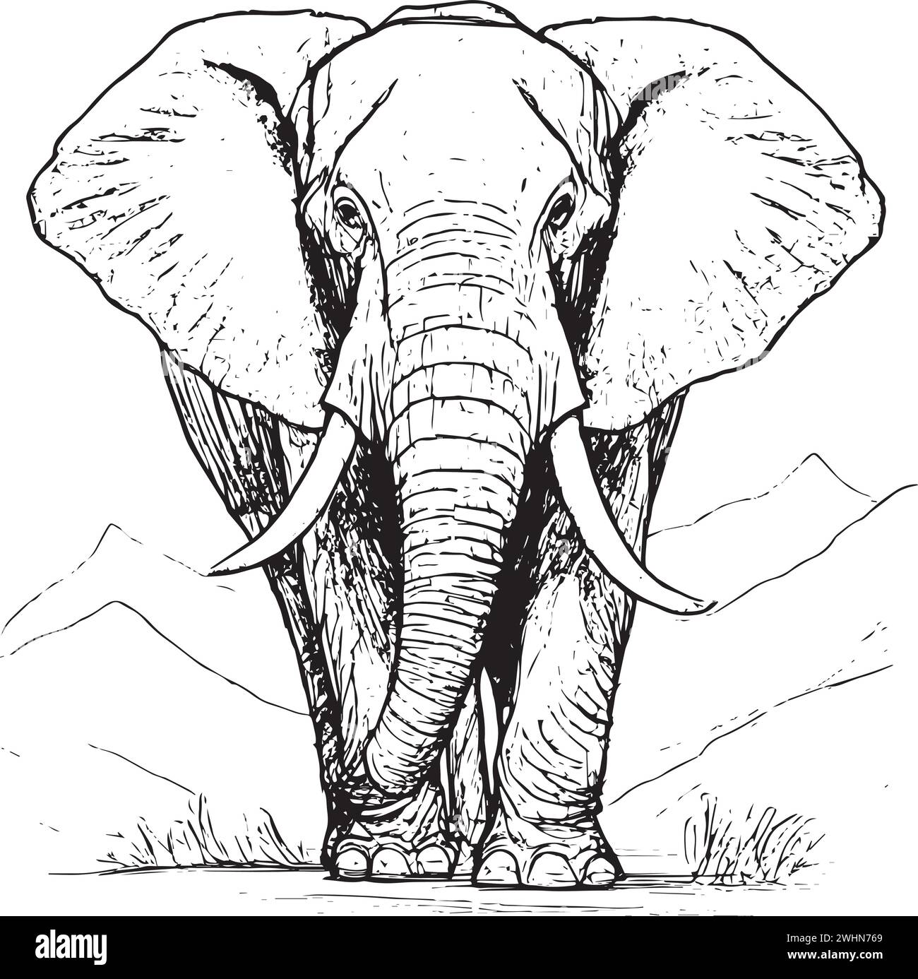 Elephant drawn Stock Vector Images - Alamy