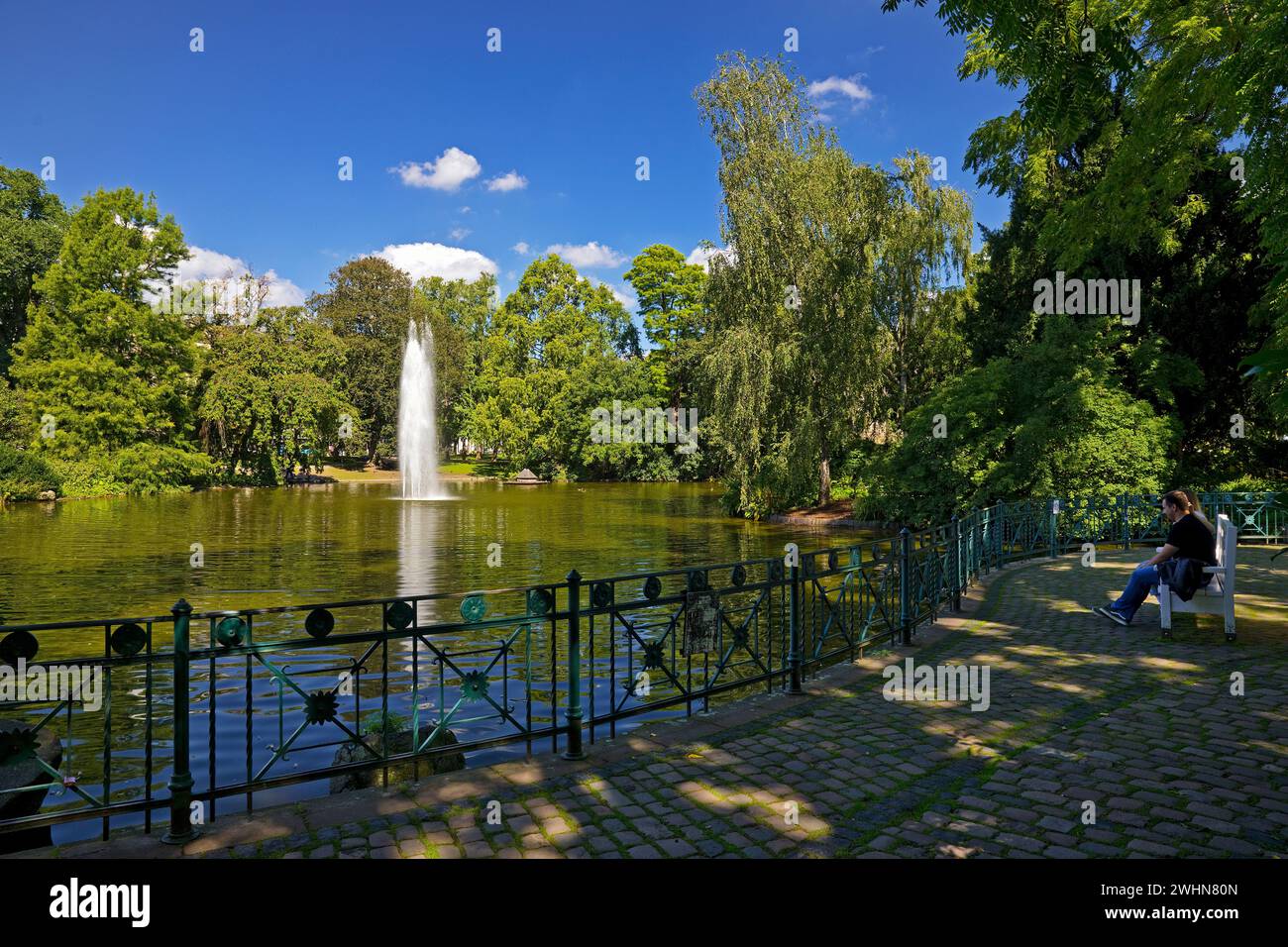 Fountain in the pond, Warmer Damm Landscape Park, Wiesbaden, Hesse, Germany, Europe Stock Photo