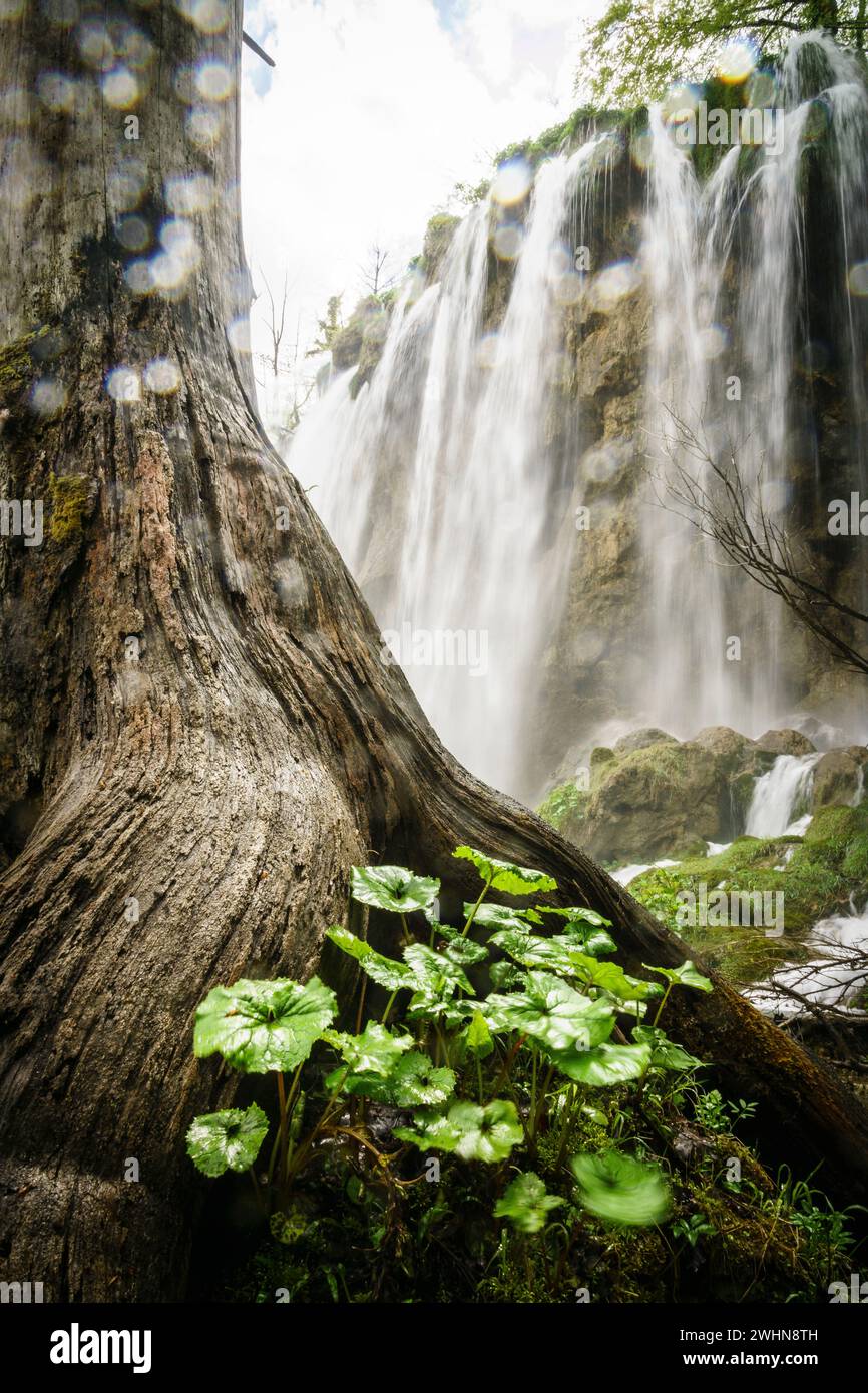 Parque Nacional de los Lagos de Plitvice Stock Photo