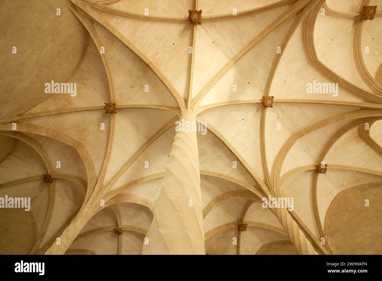 Columnas estriadas en espiral.La Llotja Stock Photo