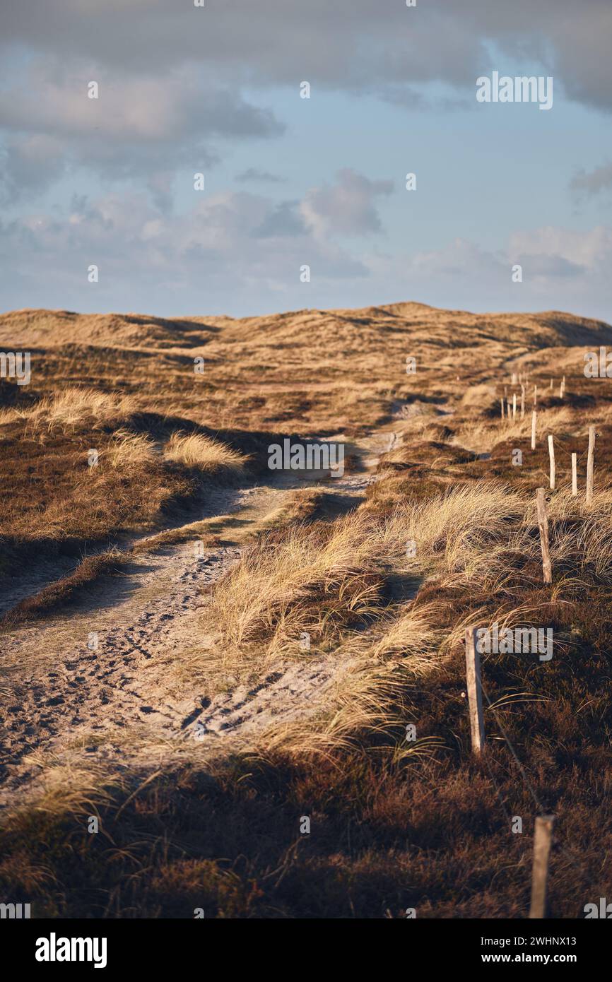 Remote Path in wide dune landscape at Denmarks west coast Stock Photo