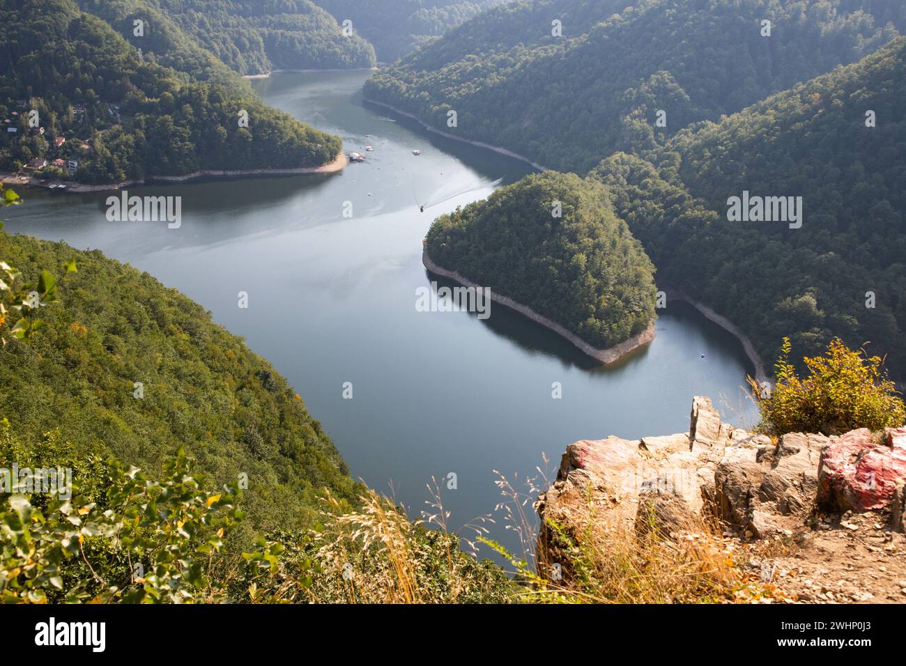 Aerial view of lake in pine forest Stock Photo