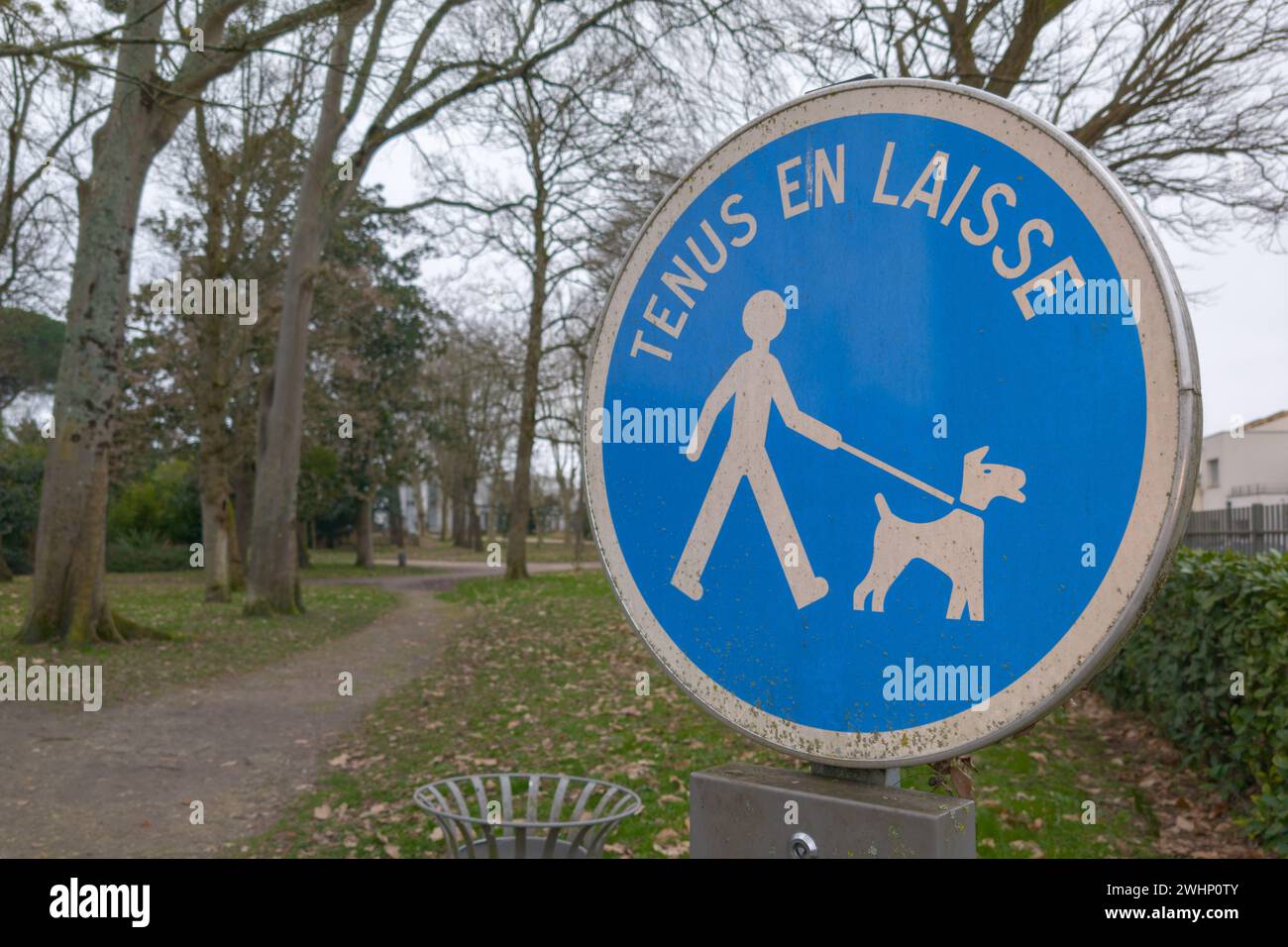 Please keep your dog on a lead information french text sign means  france chien tenus en laisse to protect wildlife and other people walking in the ar Stock Photo