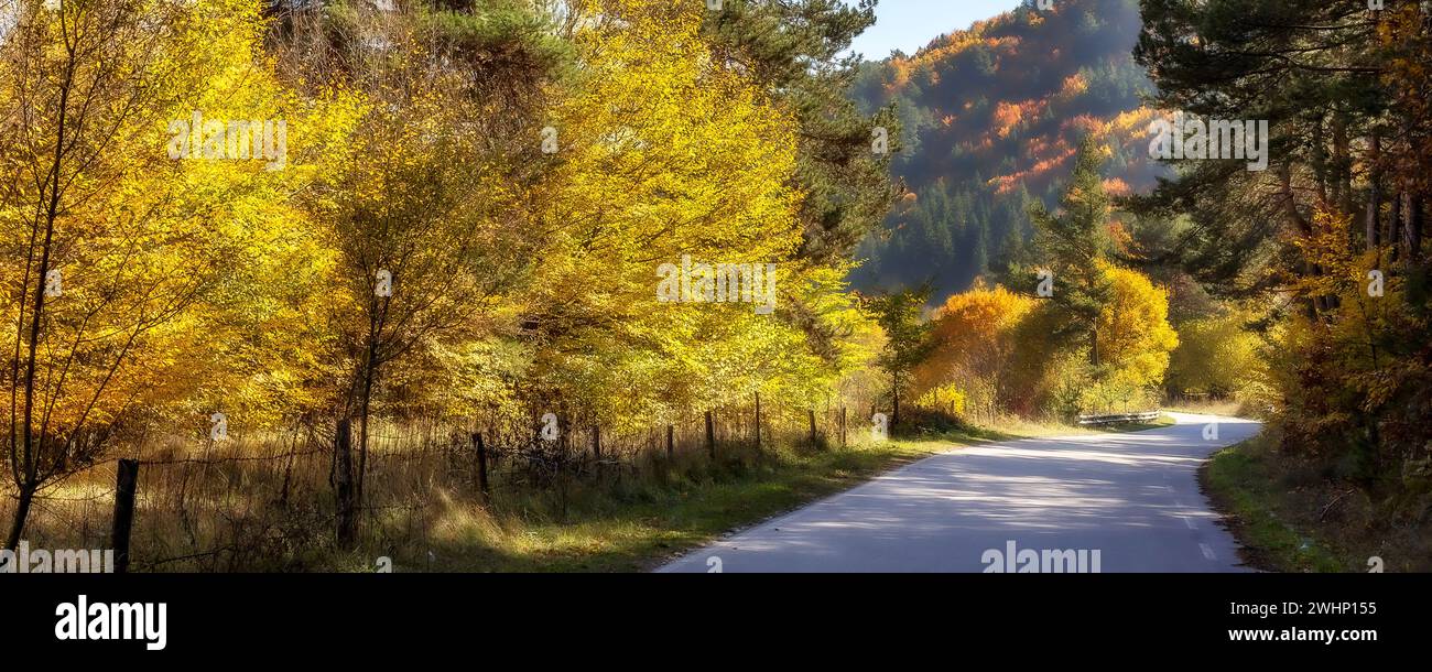 Golden magic autumn colorful trees and road banner Stock Photo