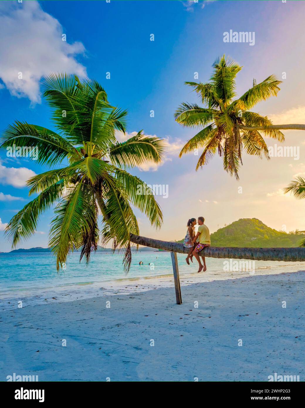 Praslin Seychelles tropical island with withe beaches and palm trees, couple men and woman in hammock swing on the beach under a Stock Photo