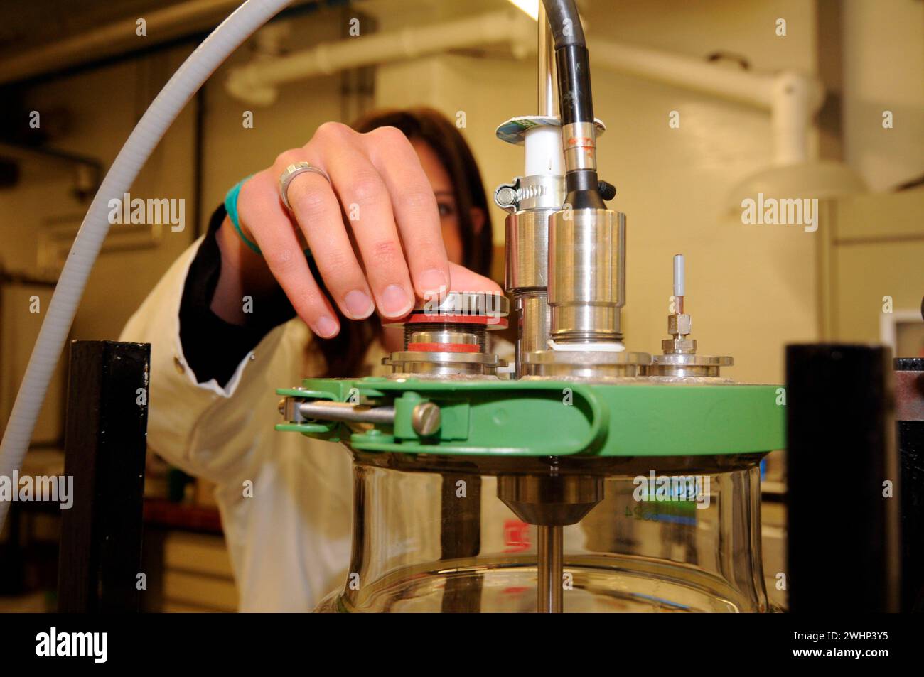 Working in a chemical laboratory Stock Photo