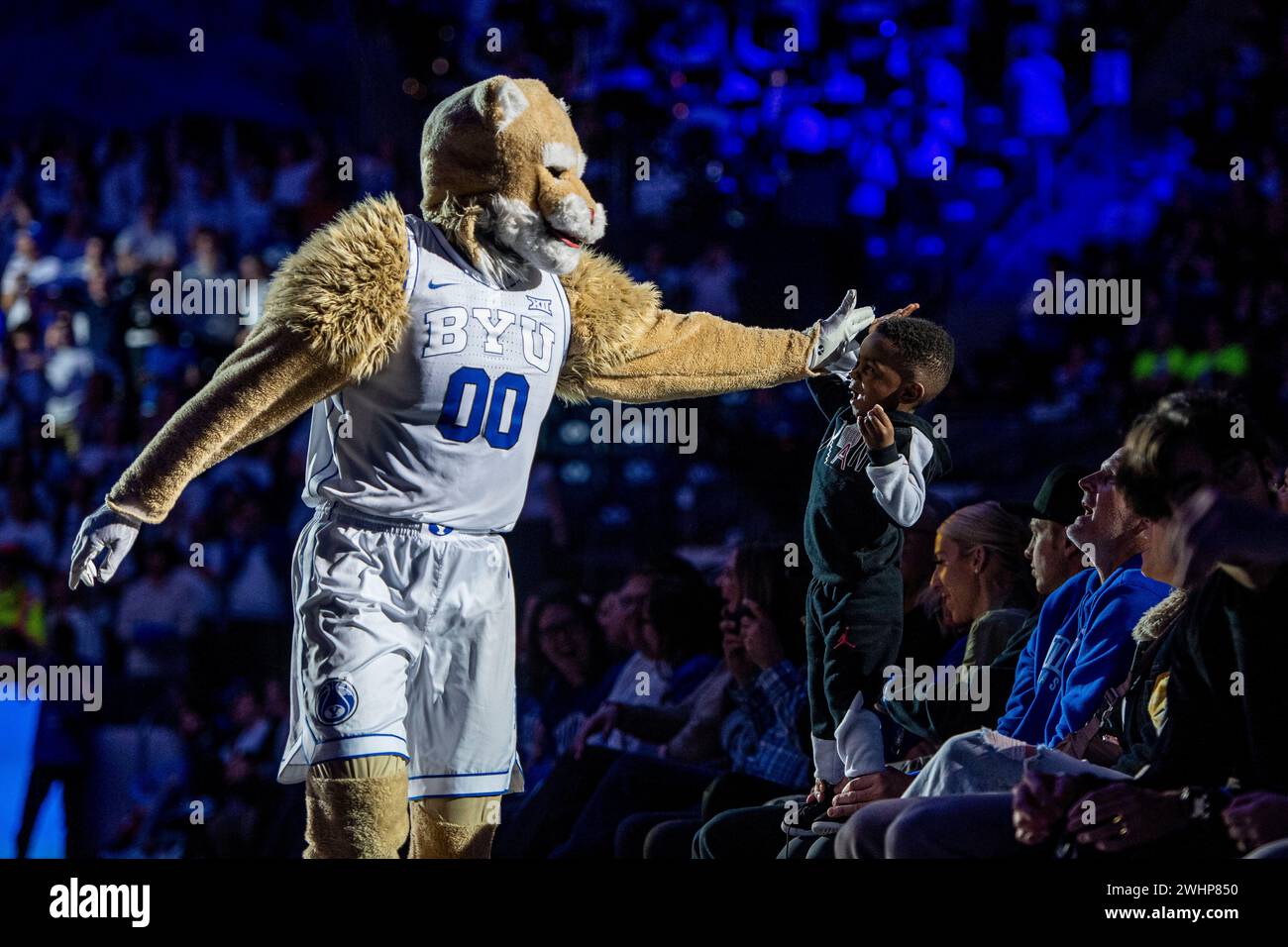 Byu Helmet BYU Cougars Cosmo The Cougar Minecraft Skin Wsu Cougars