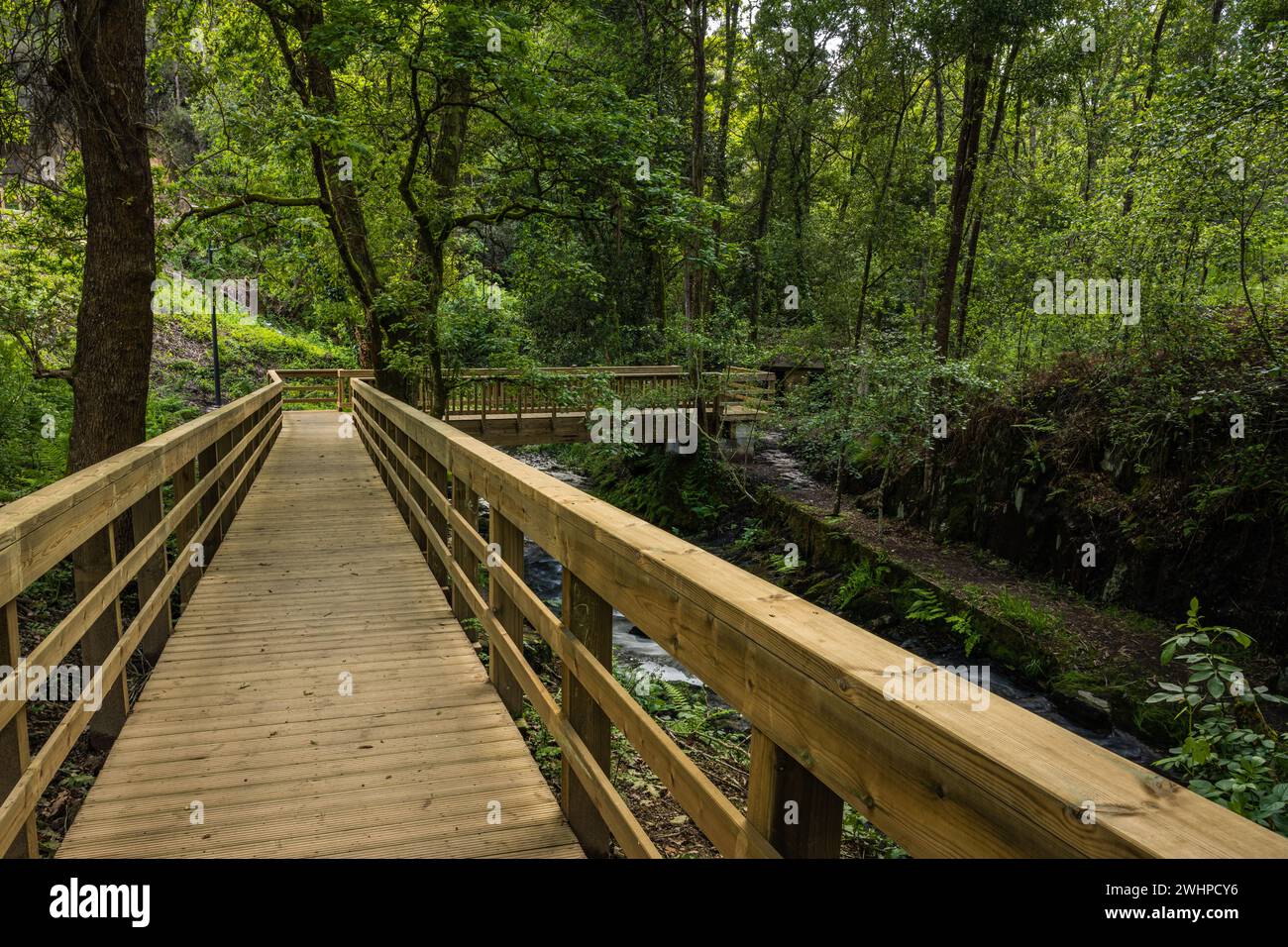 Wooden footbridge in Stanislaus fountain park Stock Photo