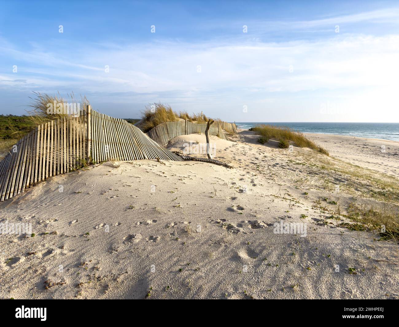 Sandy dunes on Furadouro beach Stock Photo