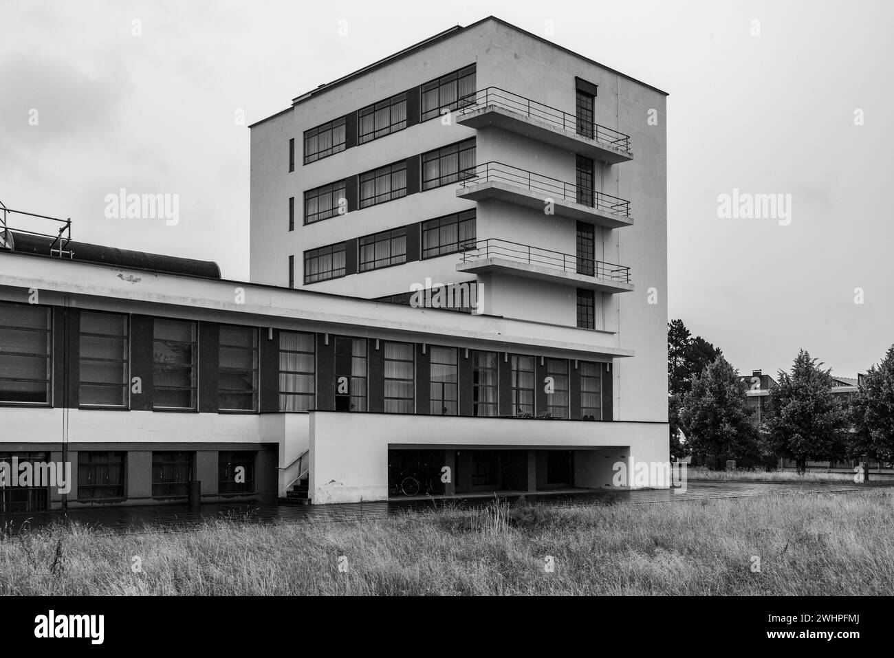 jobangebote dessau